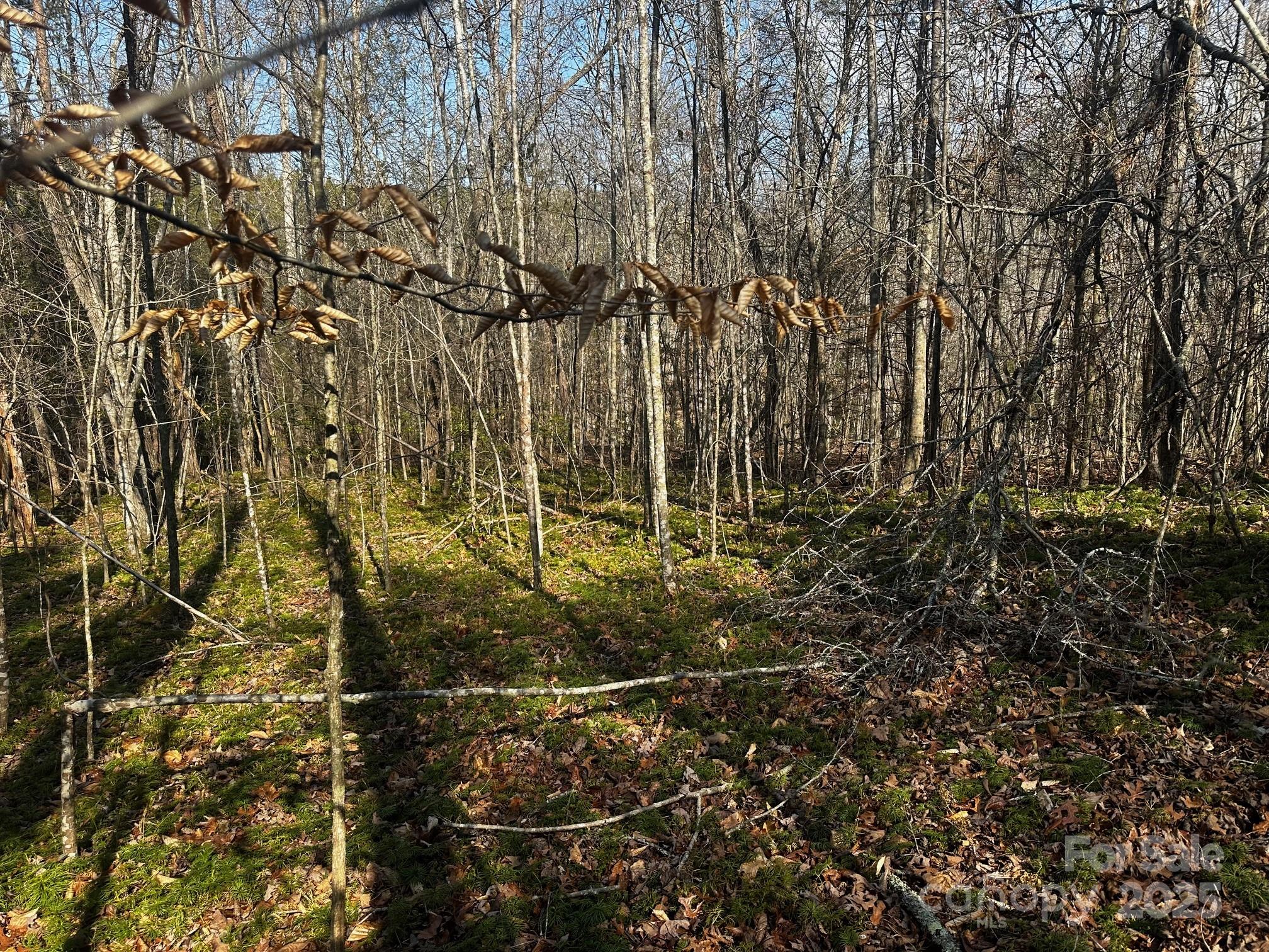 0000 Grassy Knob Road Property Photo 8