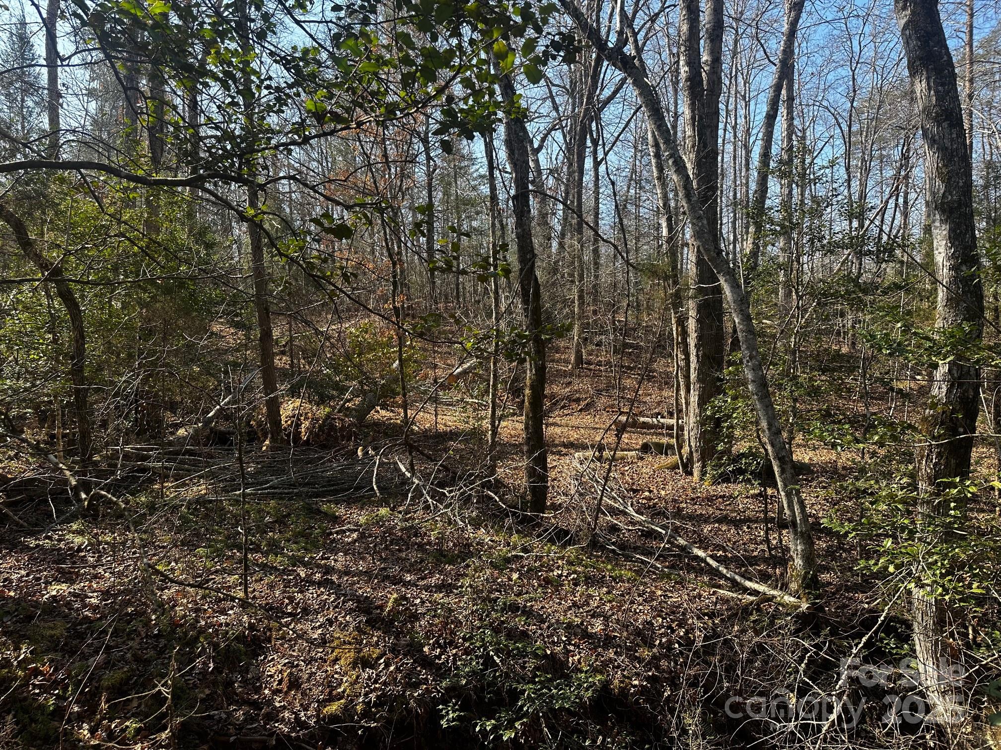 0000 Grassy Knob Road Property Photo 9