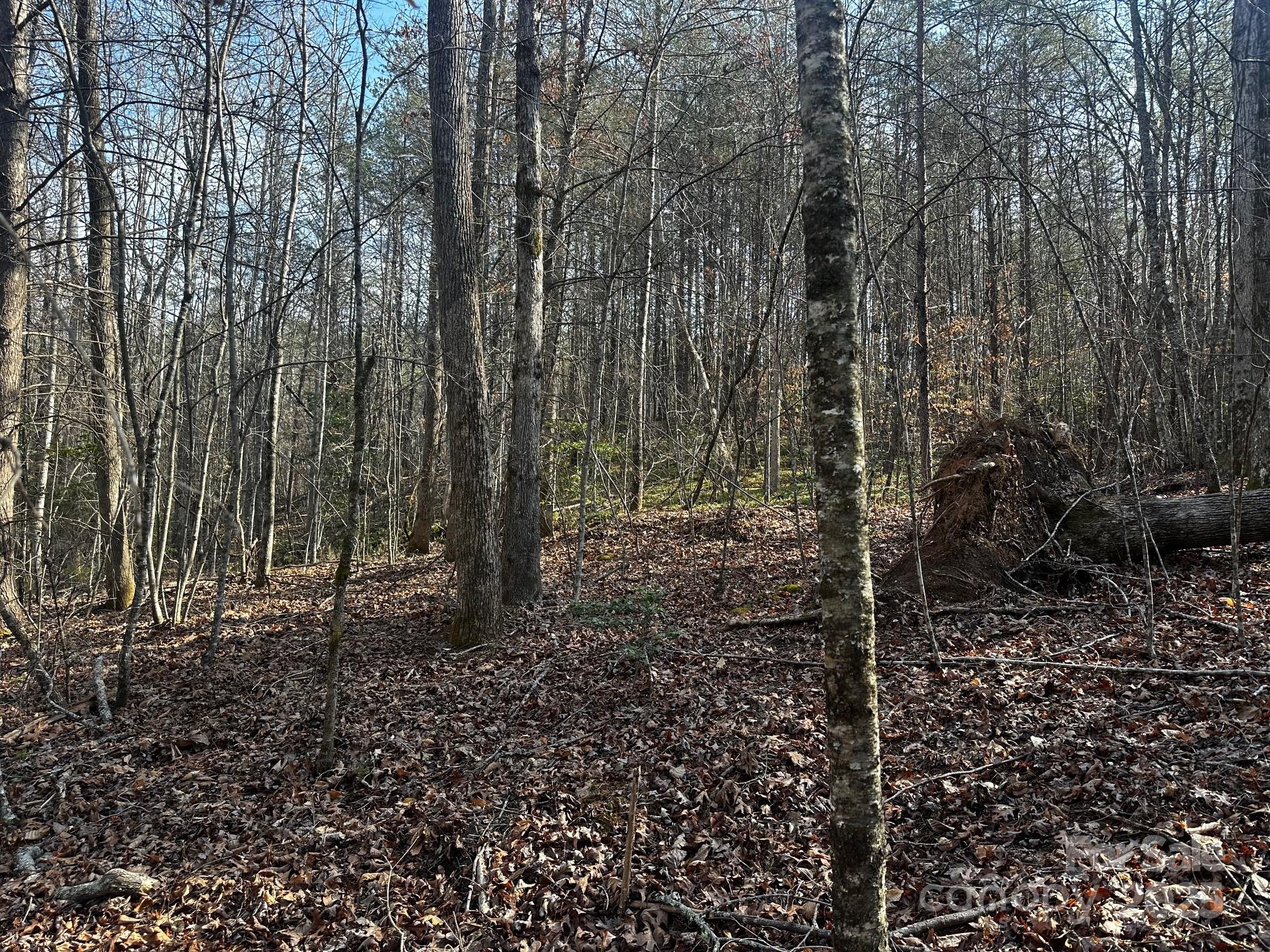 0000 Grassy Knob Road Property Photo 10