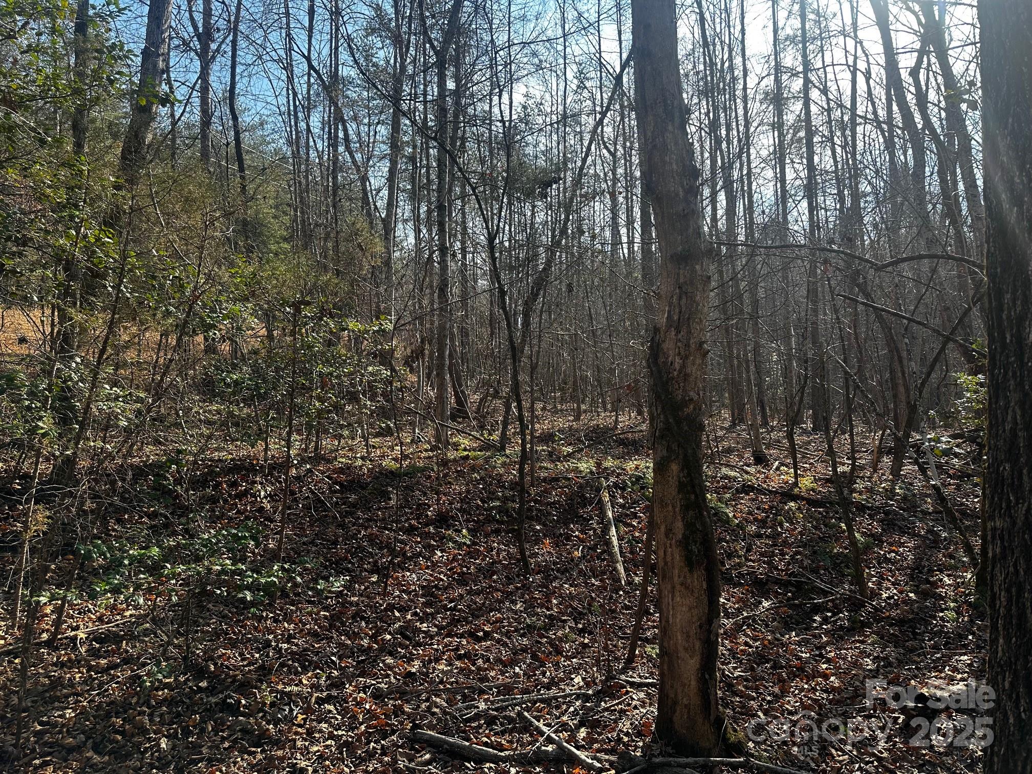 0000 Grassy Knob Road Property Photo 11