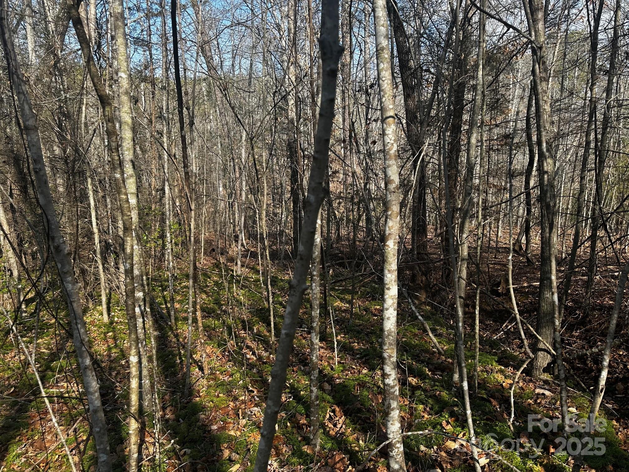 0000 Grassy Knob Road Property Photo 13