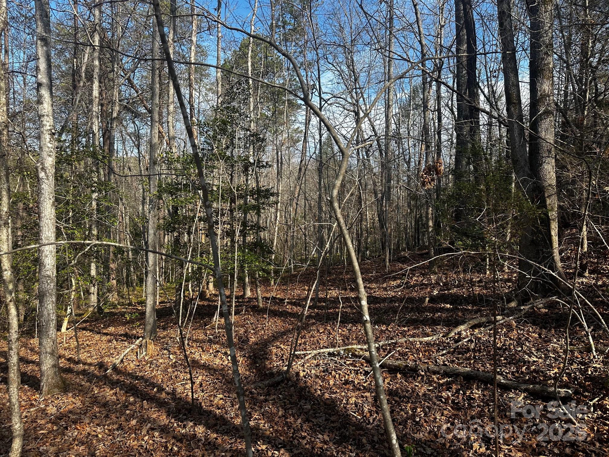 0000 Grassy Knob Road Property Photo 14