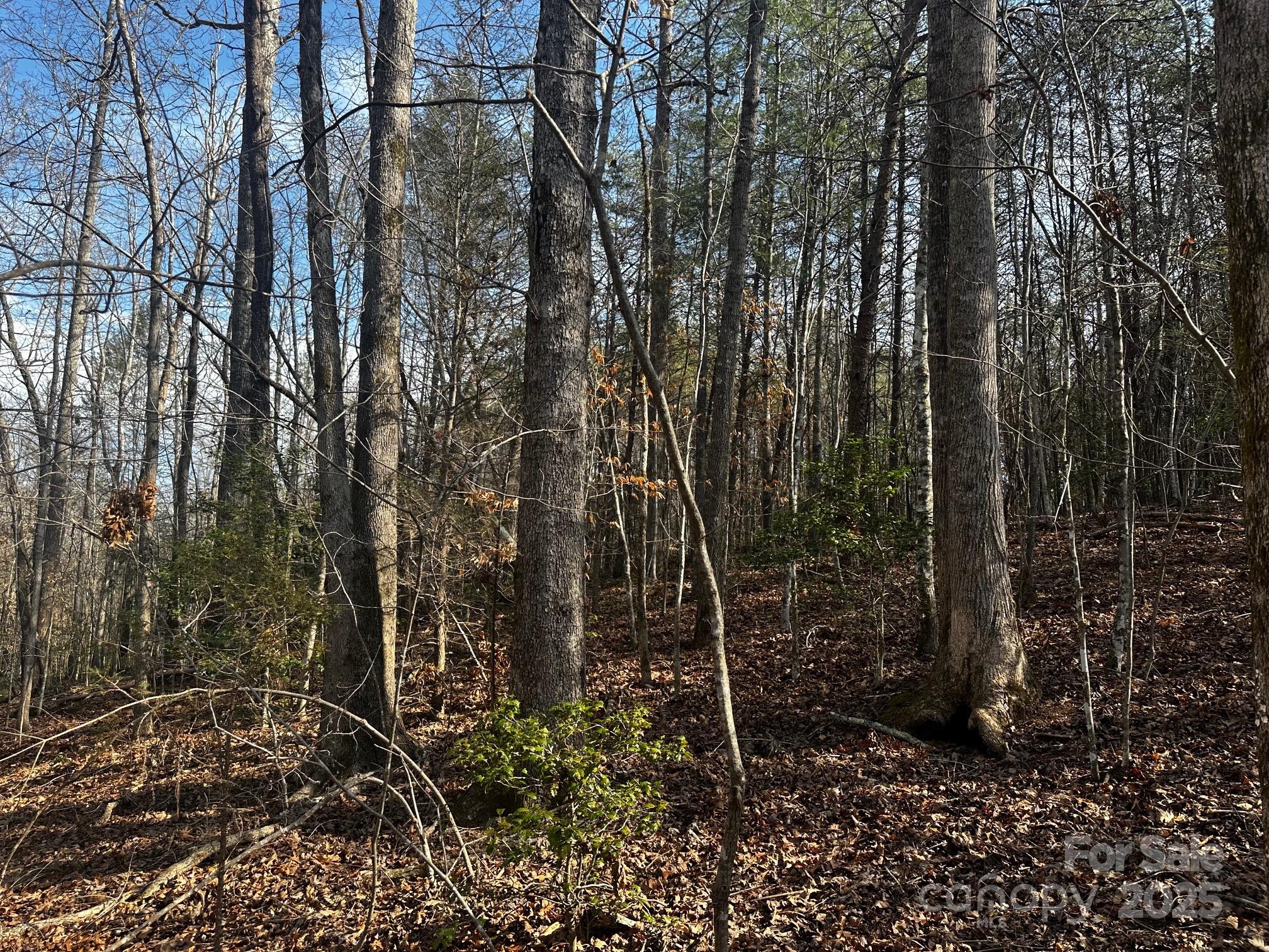0000 Grassy Knob Road Property Photo 15