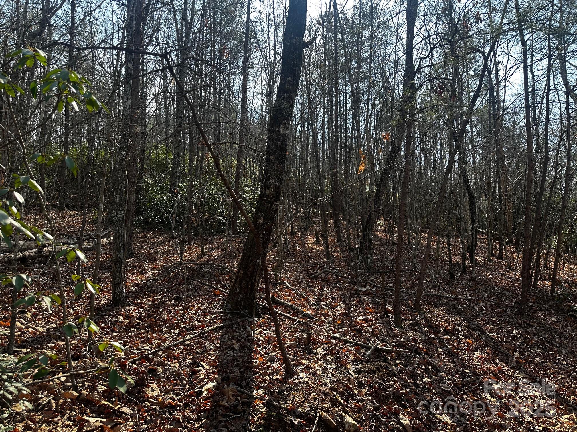 0000 Grassy Knob Road Property Photo 17