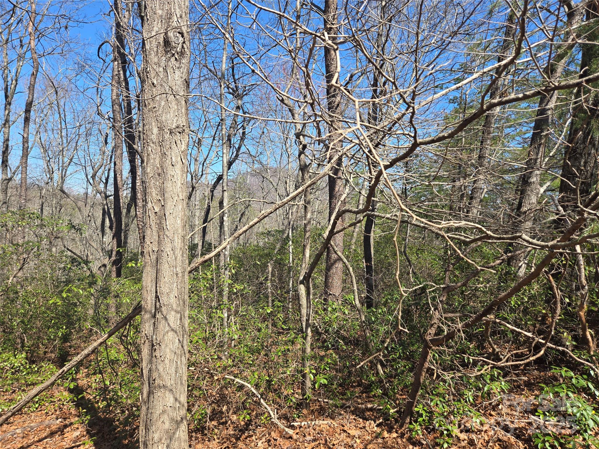 Lot 39 Flynn Court 39 Property Photo 3