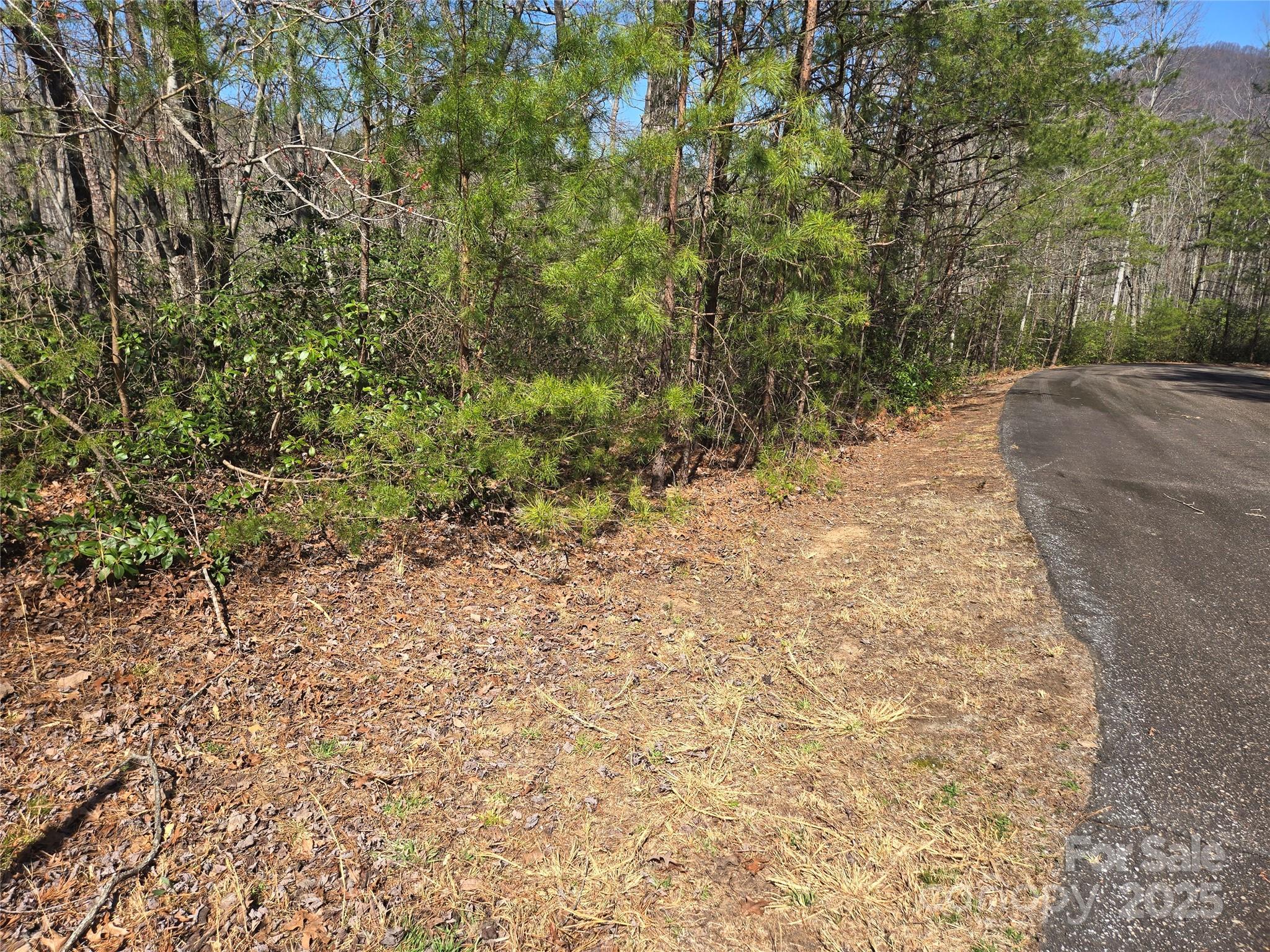 Lot 39 Flynn Court 39 Property Photo 6