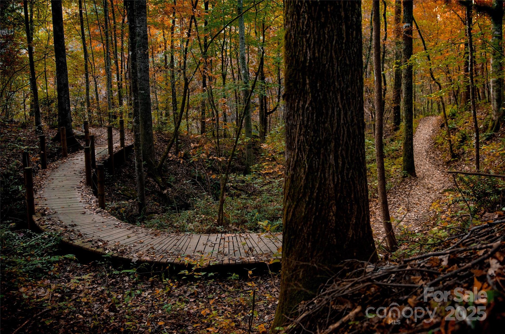 Lot 39 Flynn Court 39 Property Photo 14