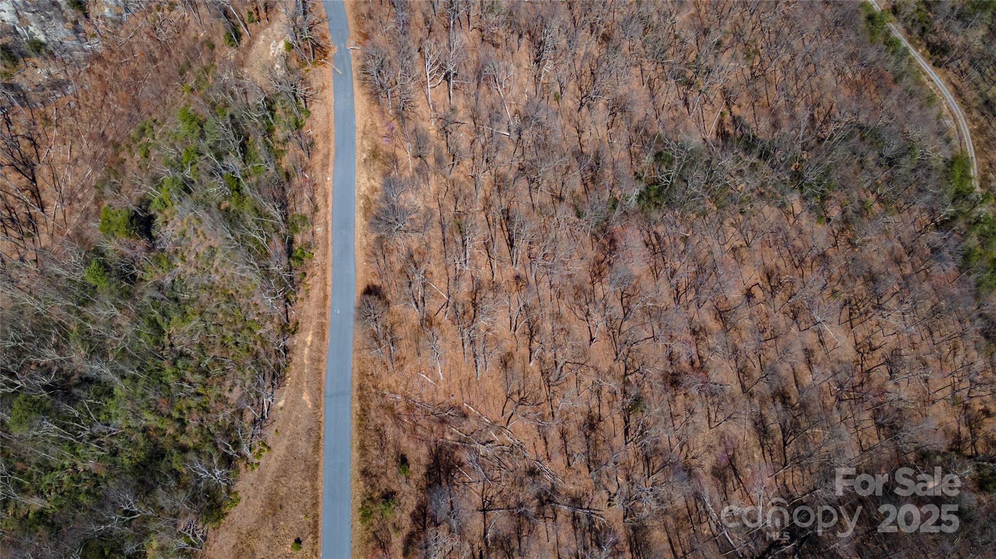 99 Devin Ridge Lane Property Photo 2