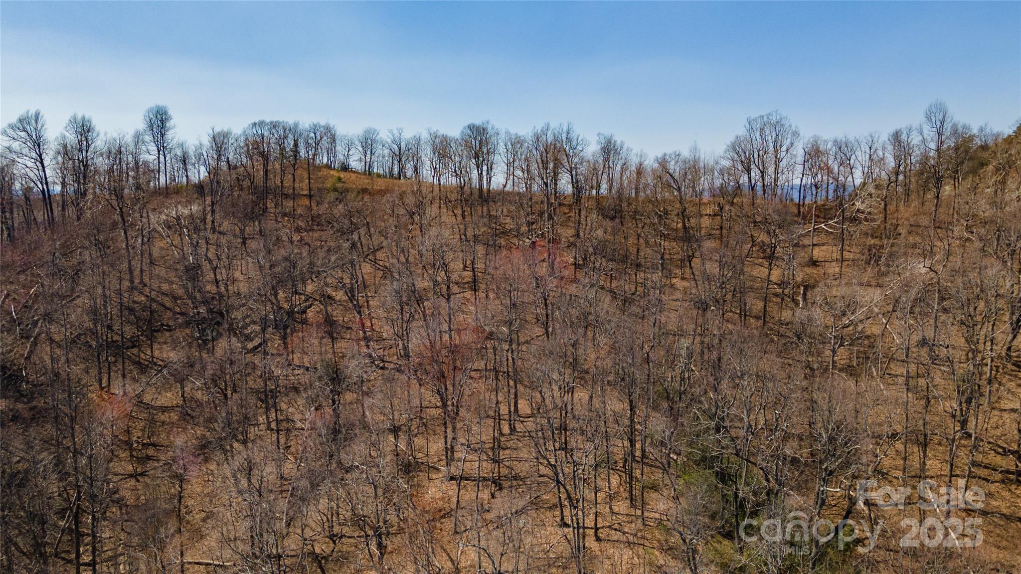 99 Devin Ridge Lane Property Photo 3