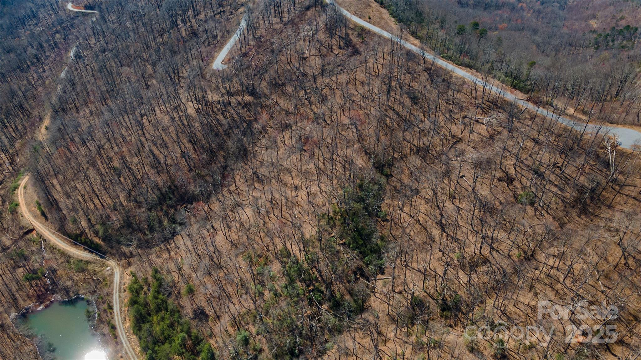 99 Devin Ridge Lane Property Photo 7