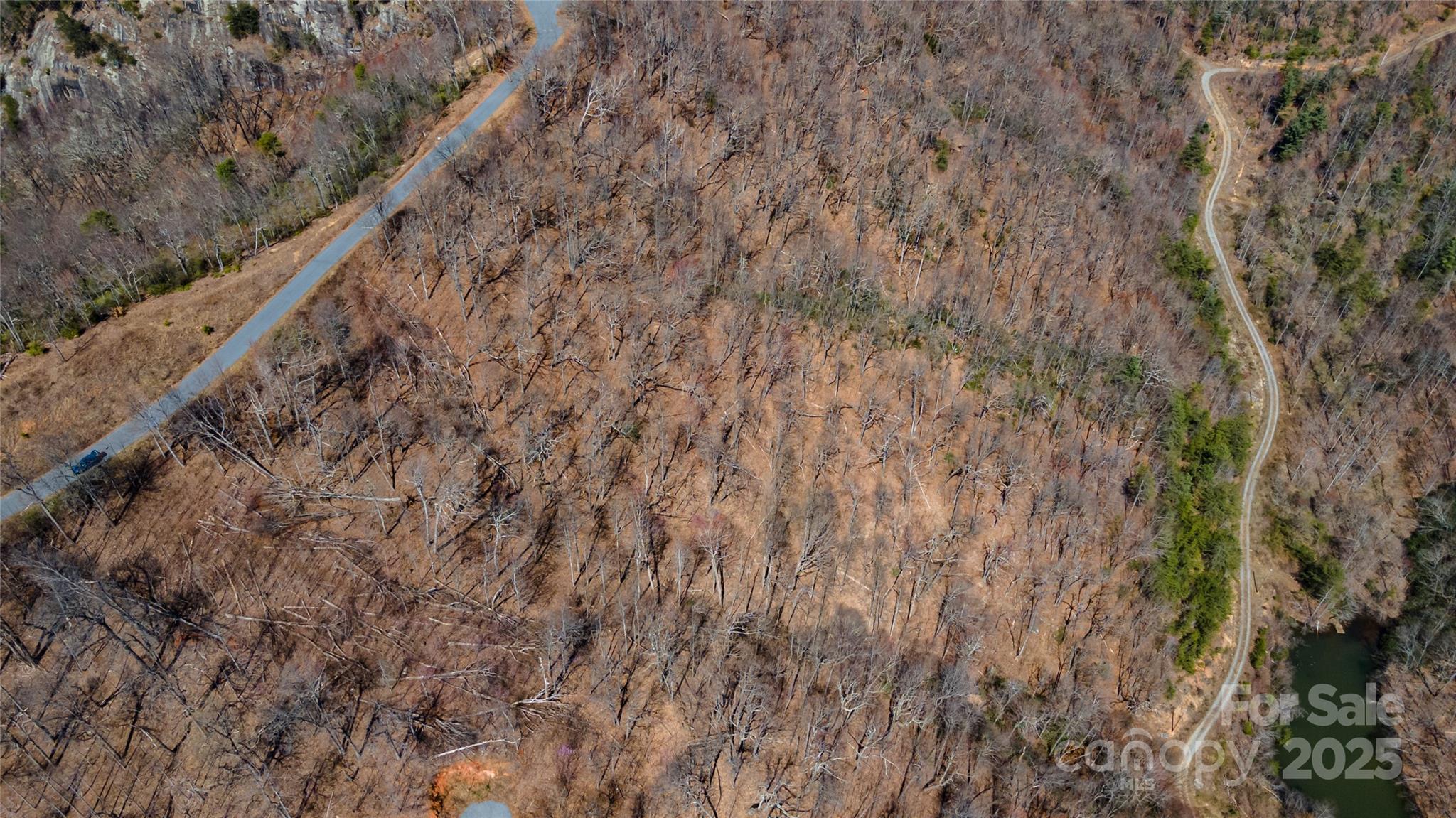 99 Devin Ridge Lane Property Photo 15