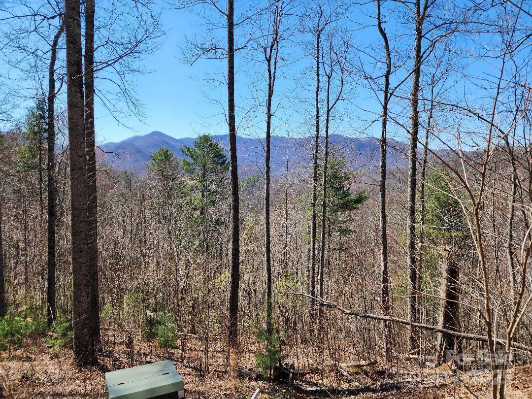 00 Hiking Trail Drive Property Photo