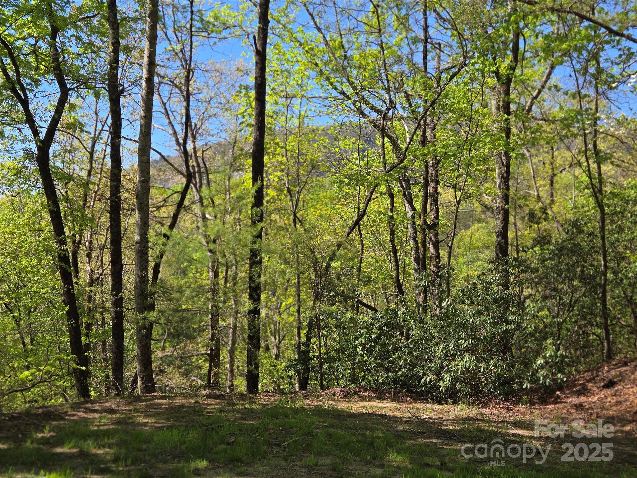 Lot 64 & 65 Walnut Lane Property Photo
