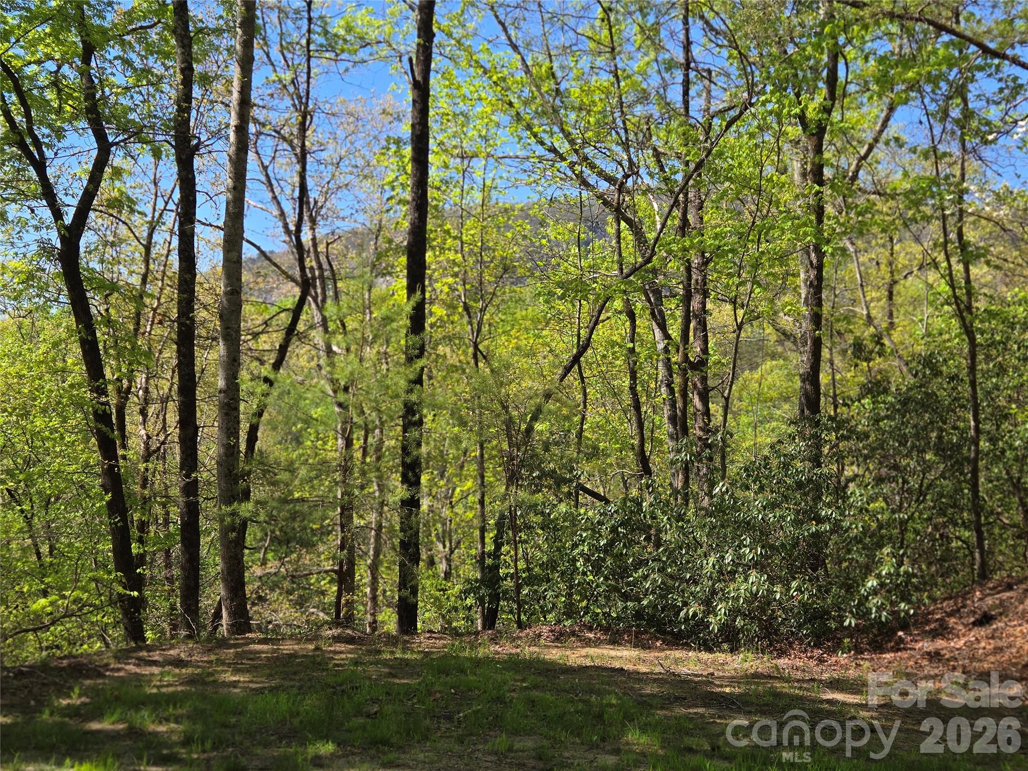 Lot 64 & 65 Walnut Lane Property Photo 1