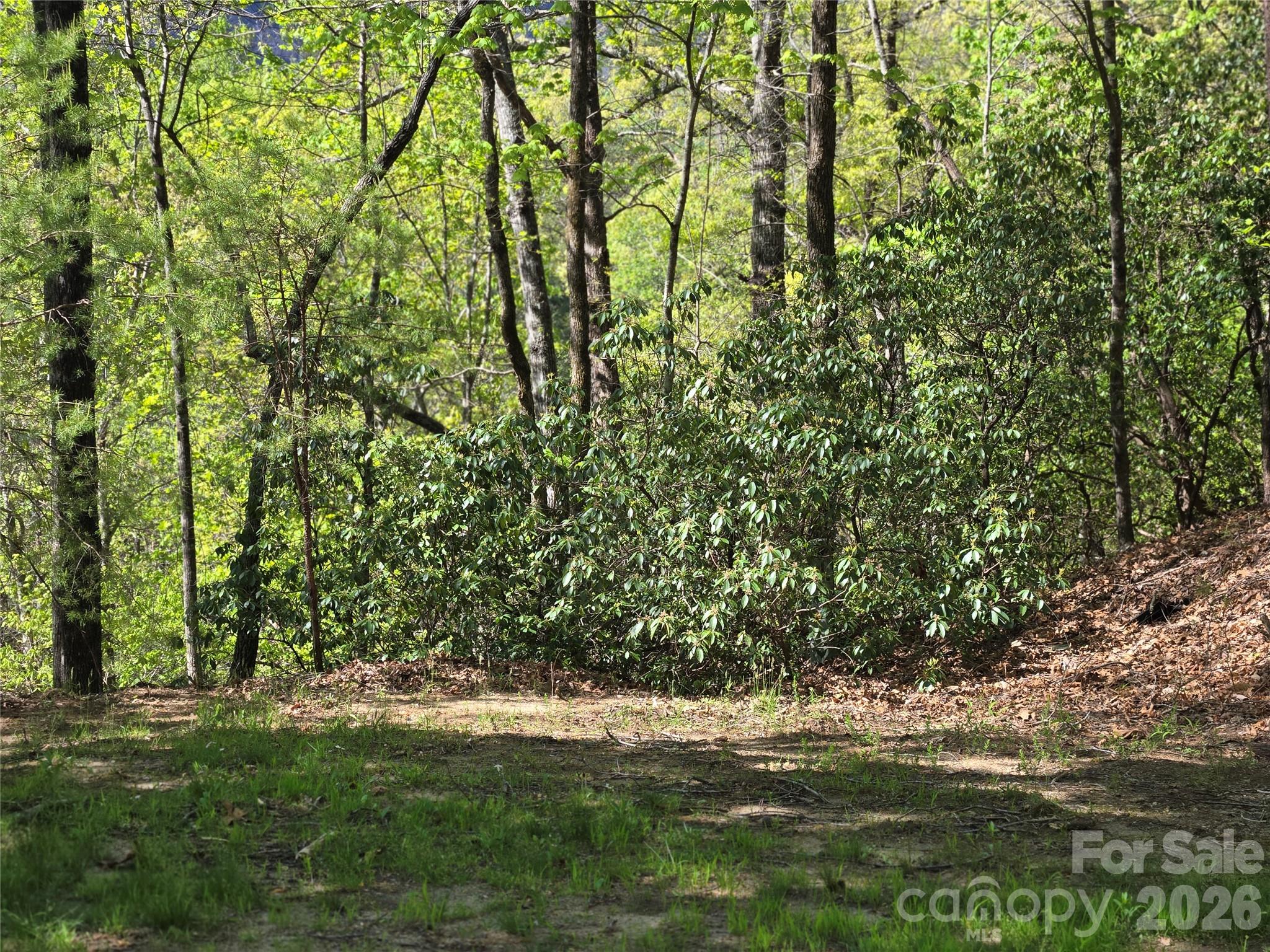 Lot 64 & 65 Walnut Lane Property Photo 7