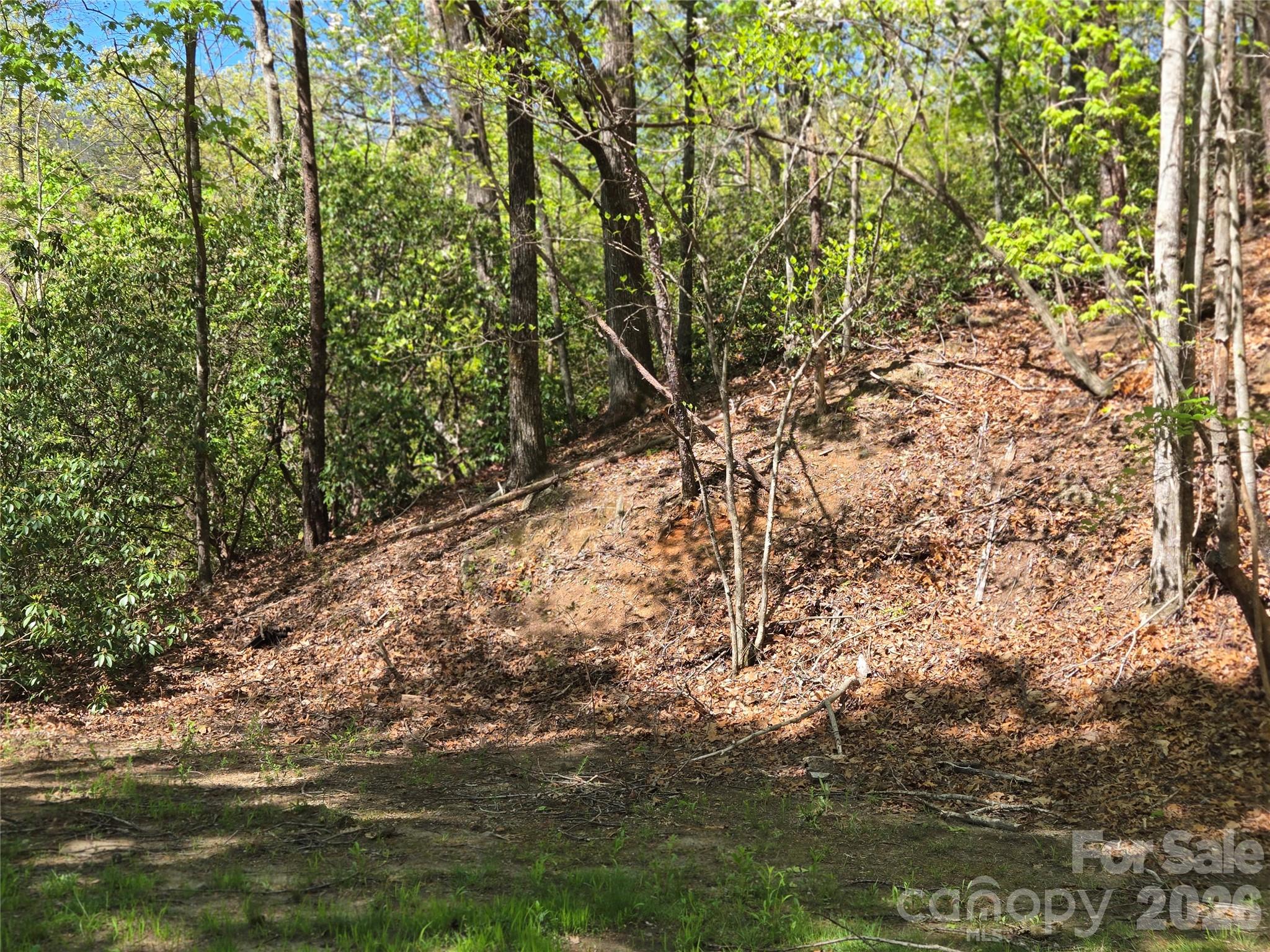 Lot 64 & 65 Walnut Lane Property Photo 9