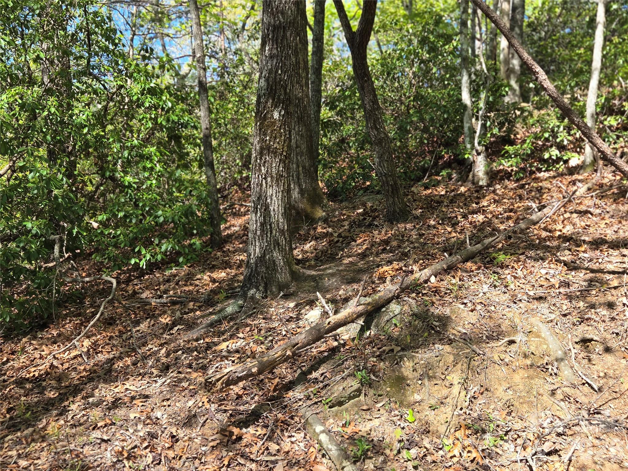 Lot 64 & 65 Walnut Lane Property Photo 10