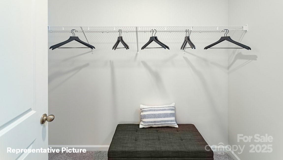 119 Mary Locke Way Property Photo 27