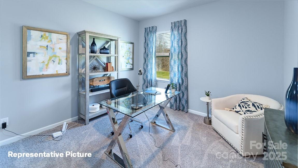 119 Mary Locke Way Property Photo 28