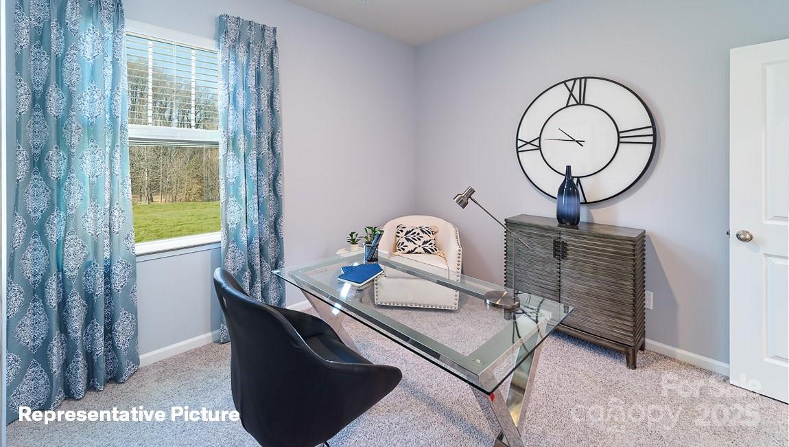 119 Mary Locke Way Property Photo 29