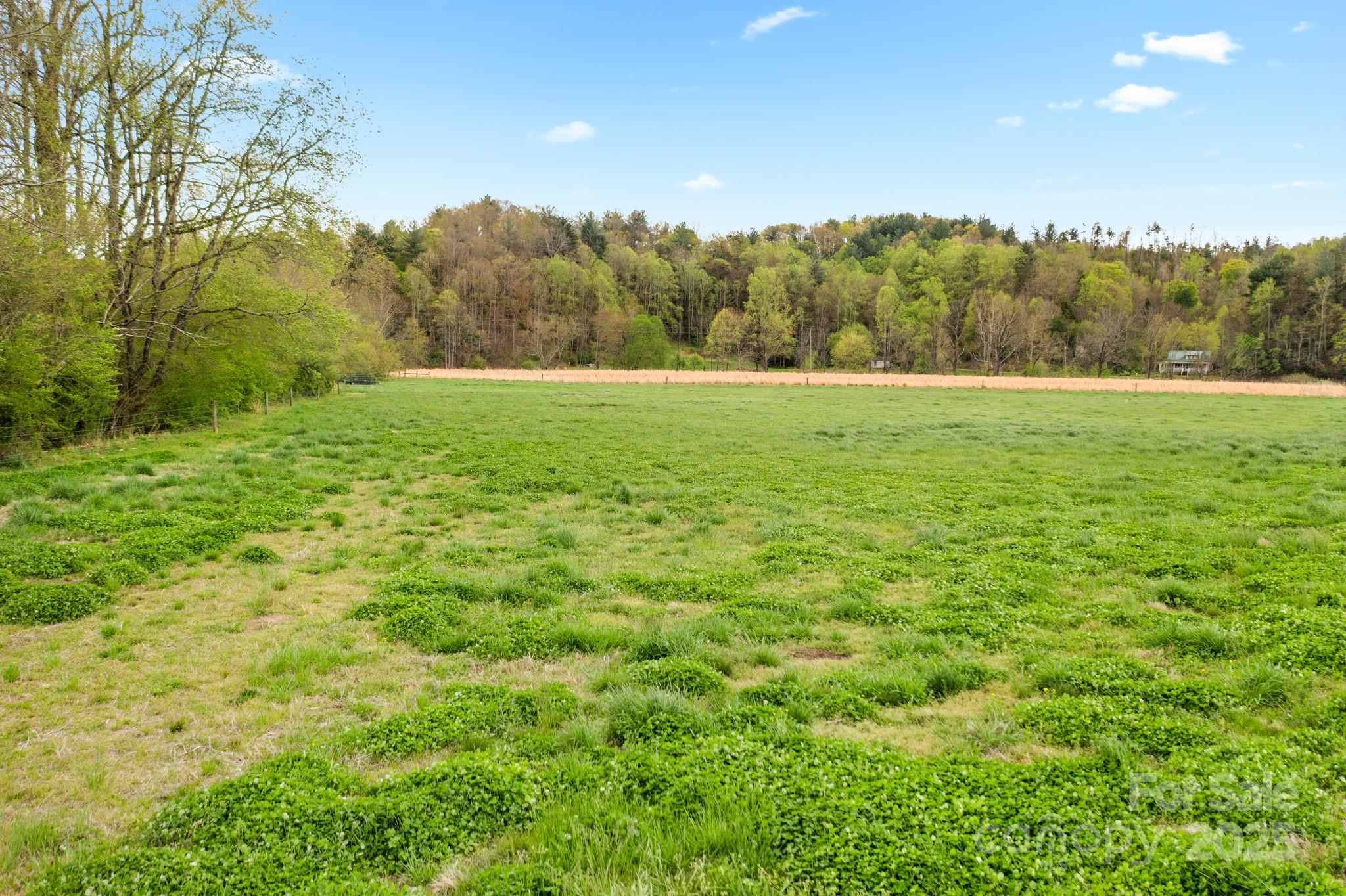 999 Casper Hawkins Road Property Photo 19
