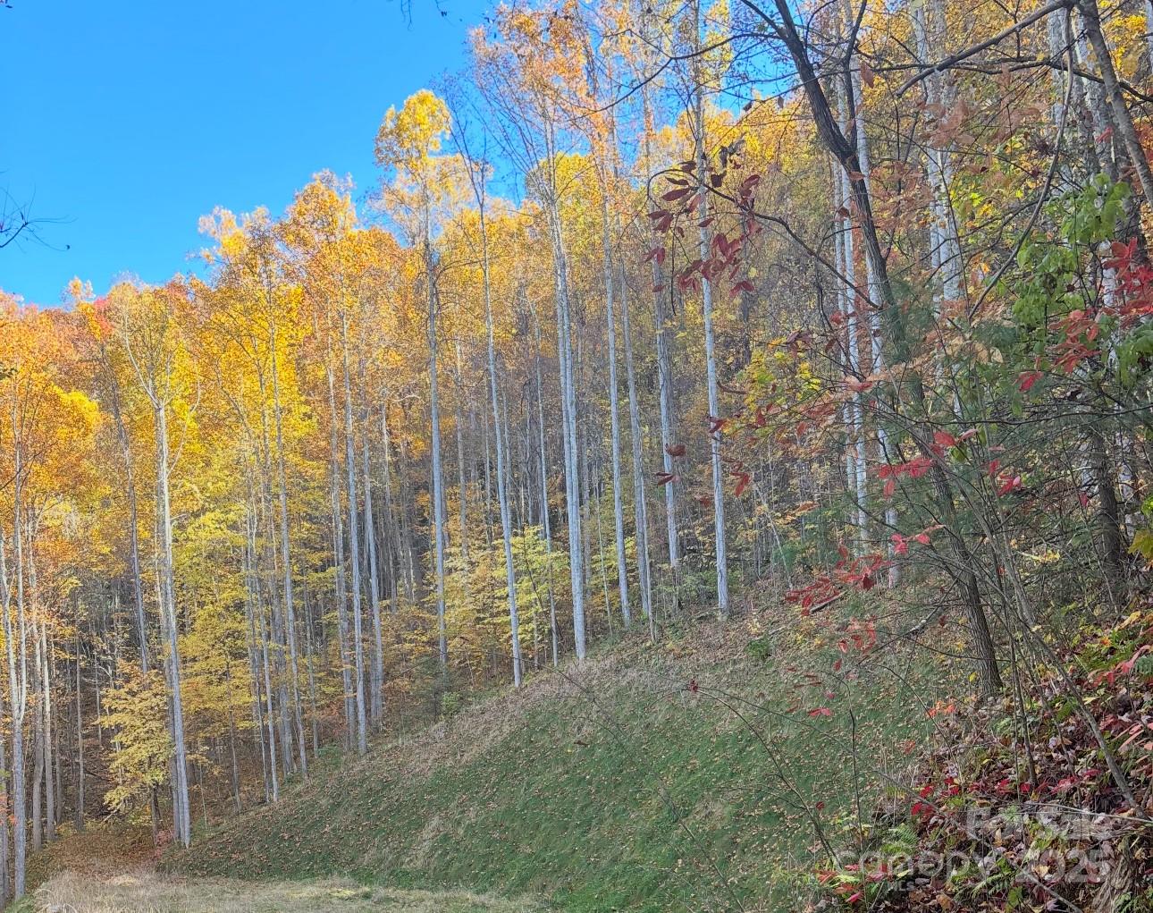 269 Flowering Ridge Road Property Photo 3