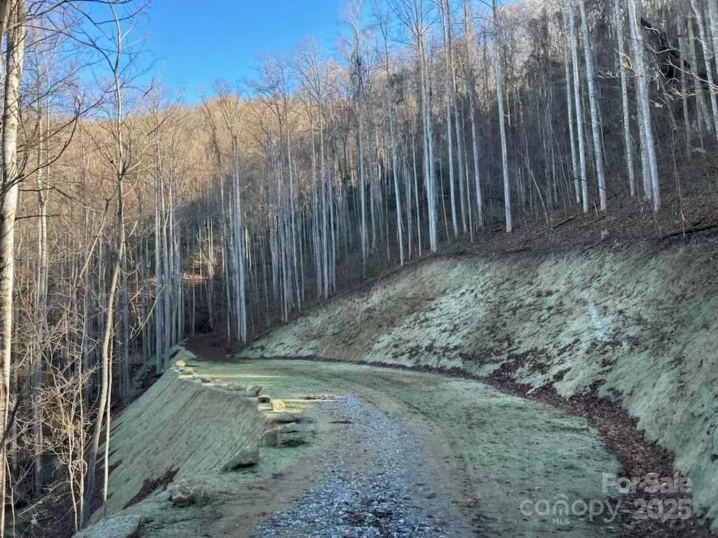 269 Flowering Ridge Road Property Photo 4