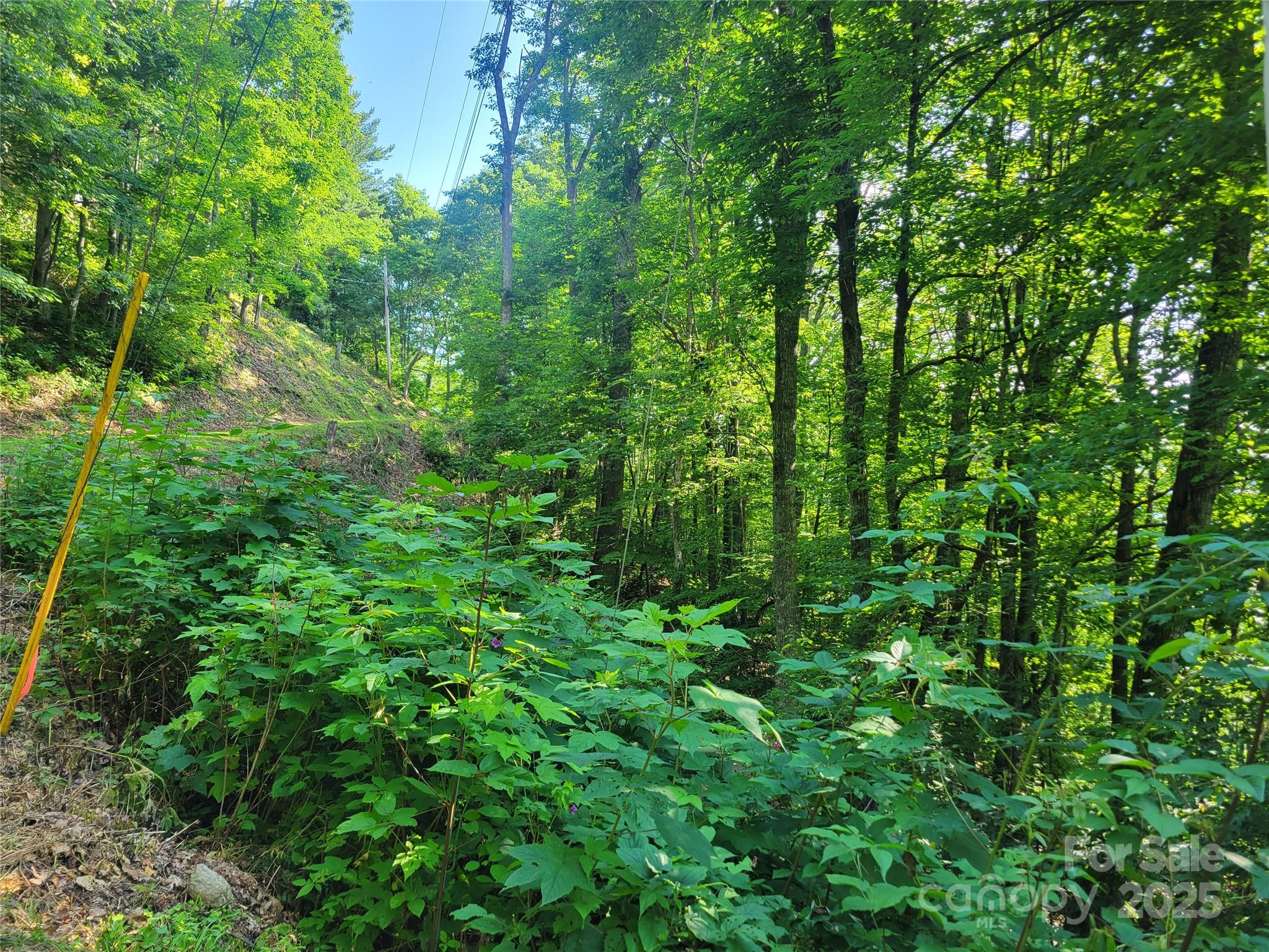 400 Mountain Laurel Road 57 Property Photo 7