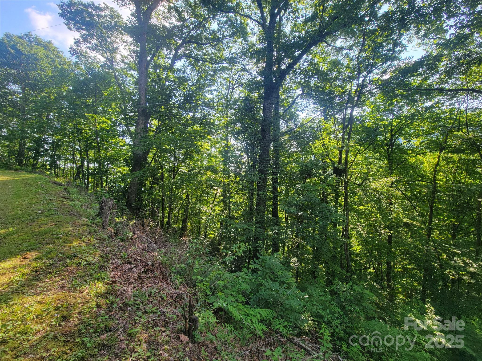 400 Mountain Laurel Road 57 Property Photo 13