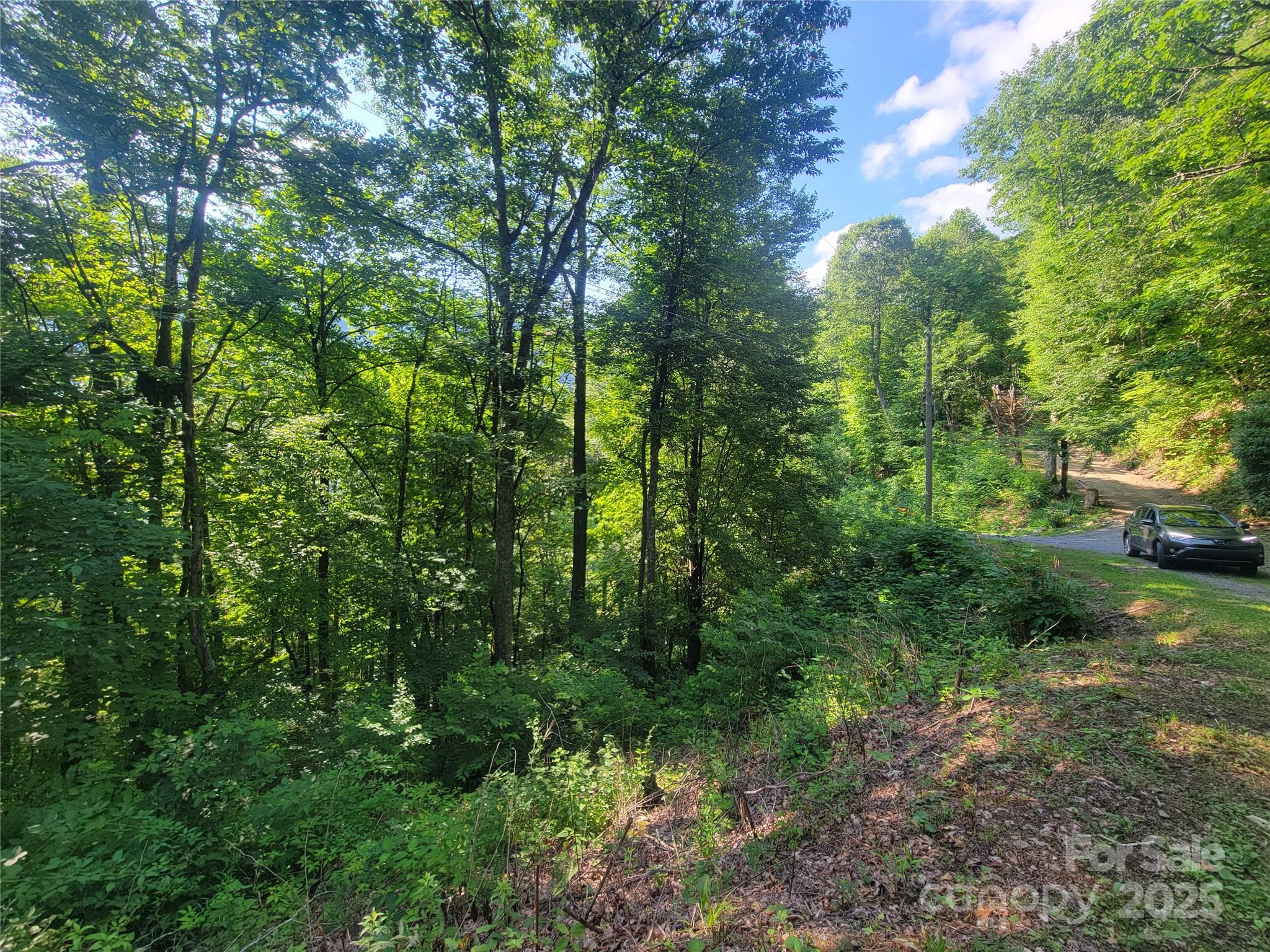 400 Mountain Laurel Road 57 Property Photo 16