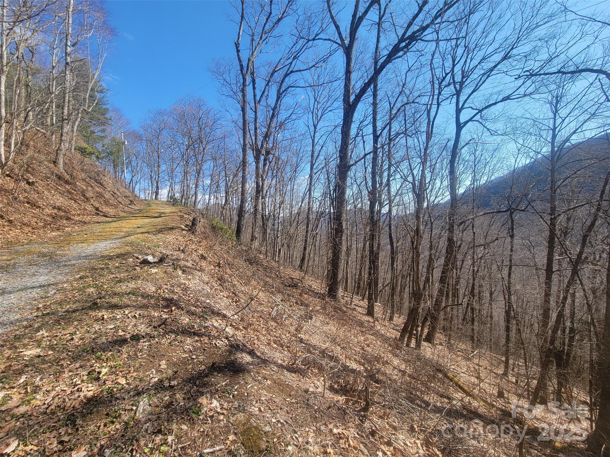 400 Mountain Laurel Road 57 Property Photo 19