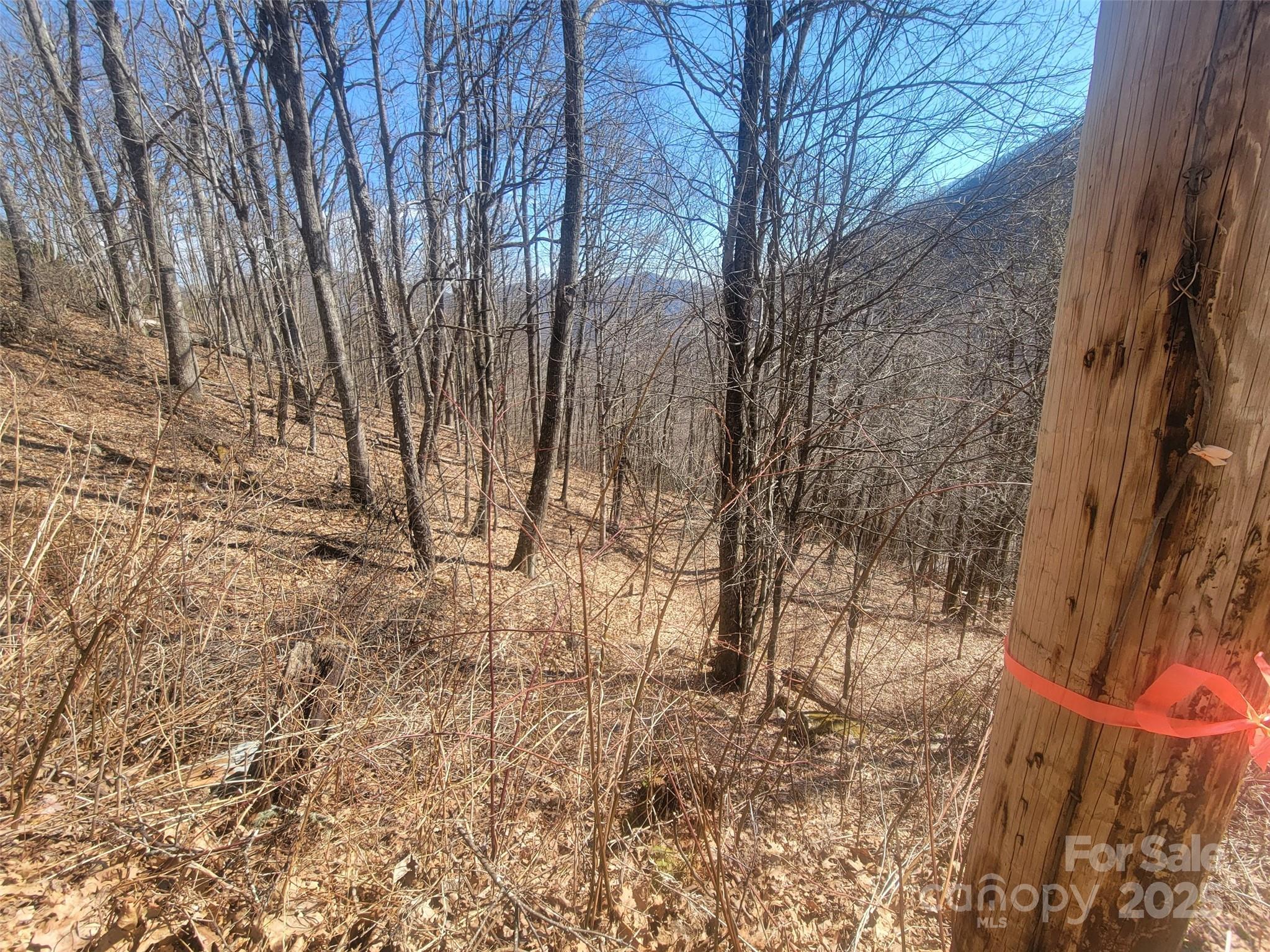 400 Mountain Laurel Road 57 Property Photo 20