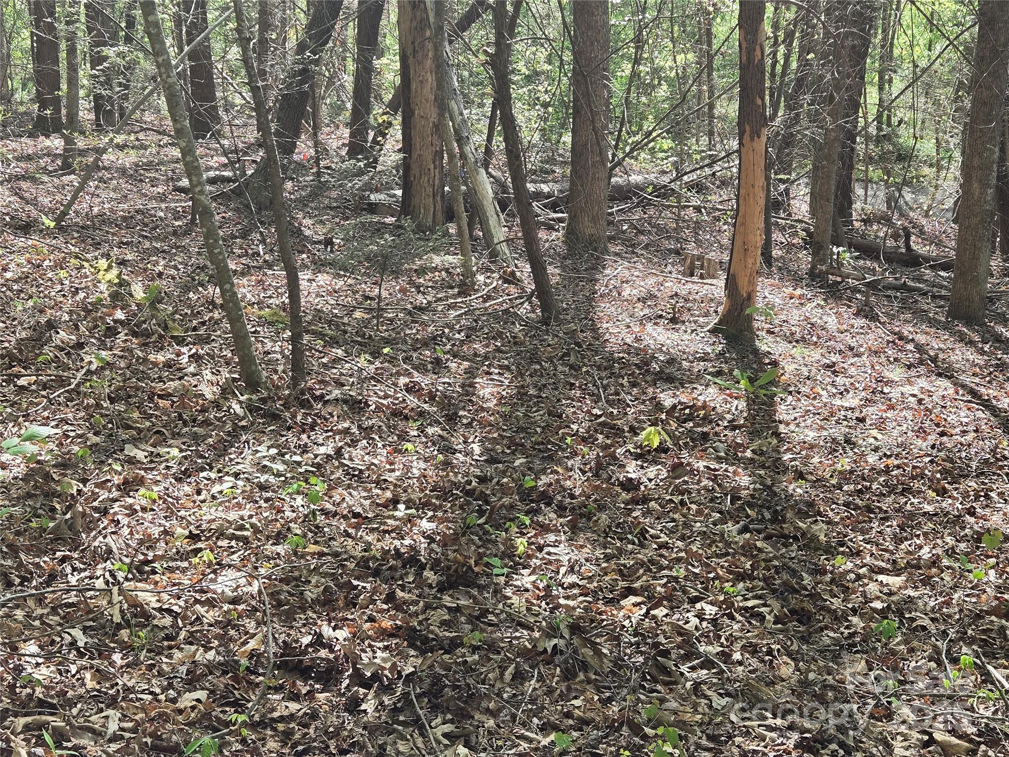 Lot 172 West Lake Drive Property Photo 1