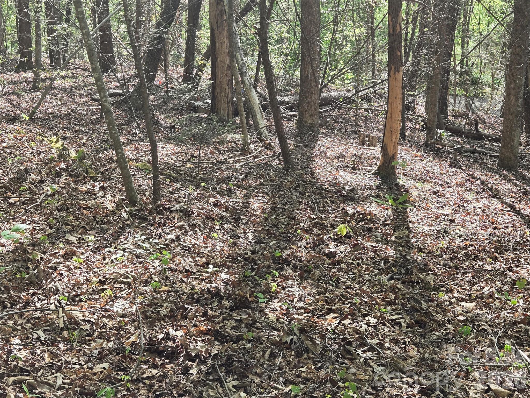 Lot 172 West Lake Drive Property Photo 1