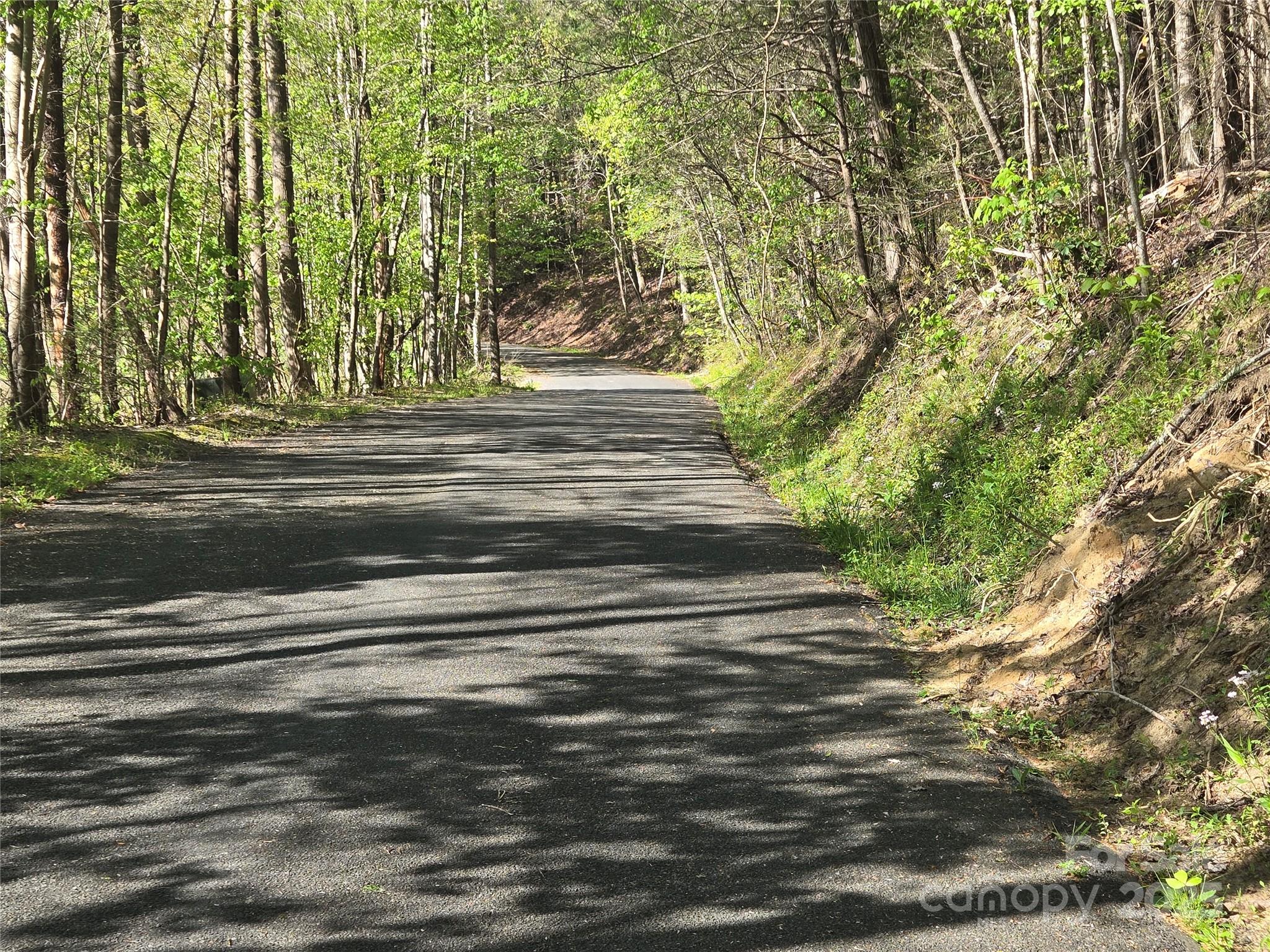 Lot 172 West Lake Drive Property Photo 2