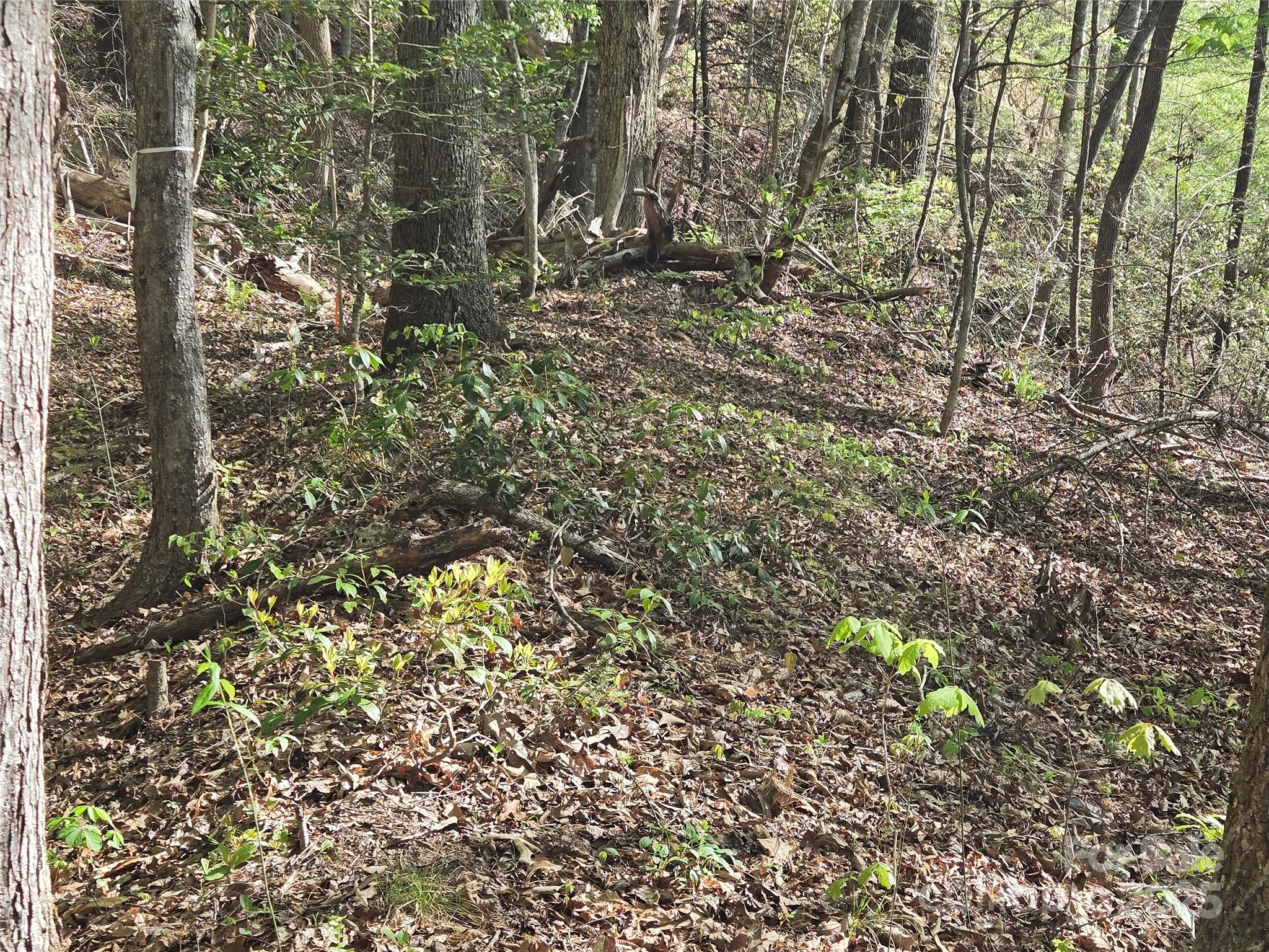 Lot 172 West Lake Drive Property Photo 3