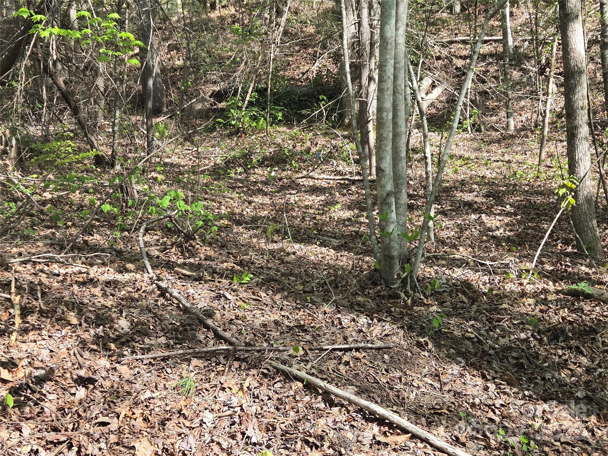 Lot 172 West Lake Drive Property Photo 4