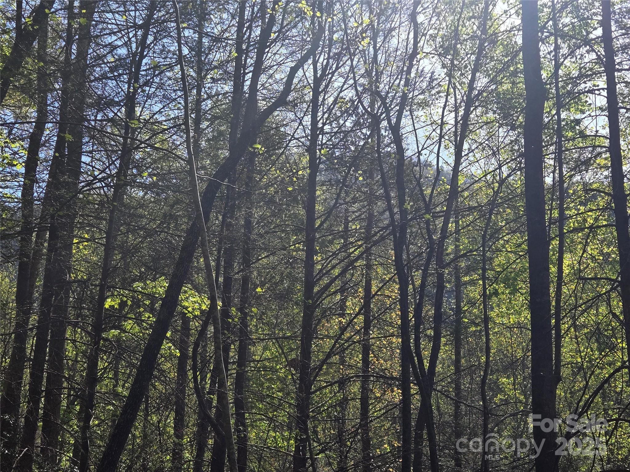 Lot 172 West Lake Drive Property Photo 5