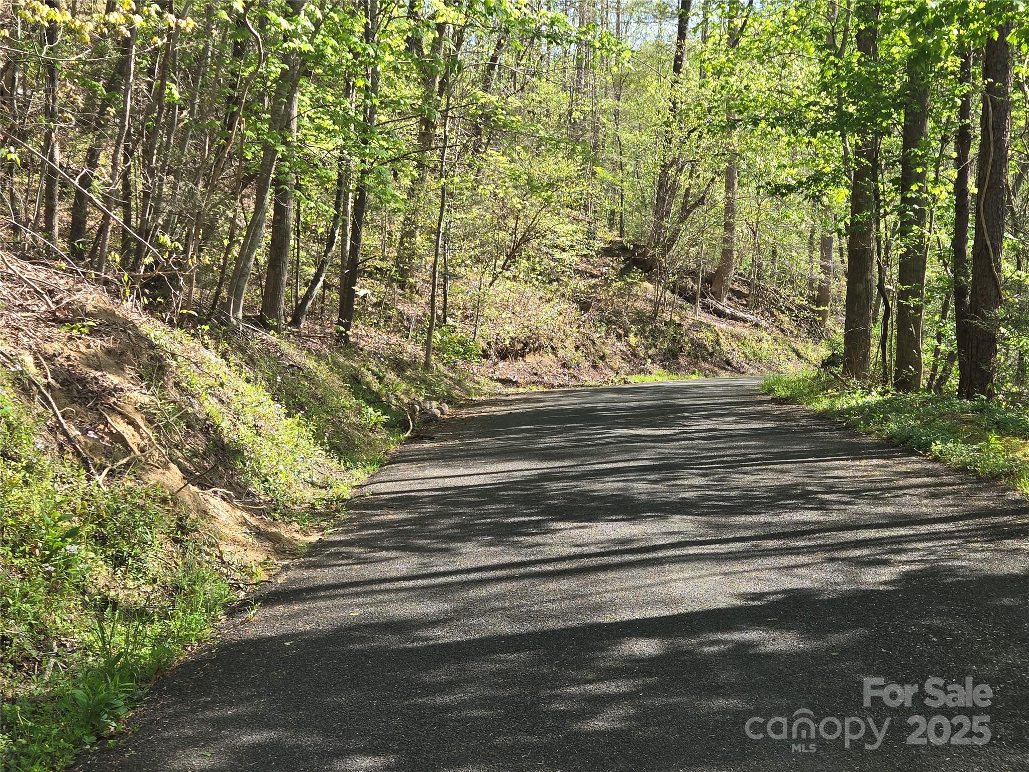 Lot 172 West Lake Drive Property Photo 6