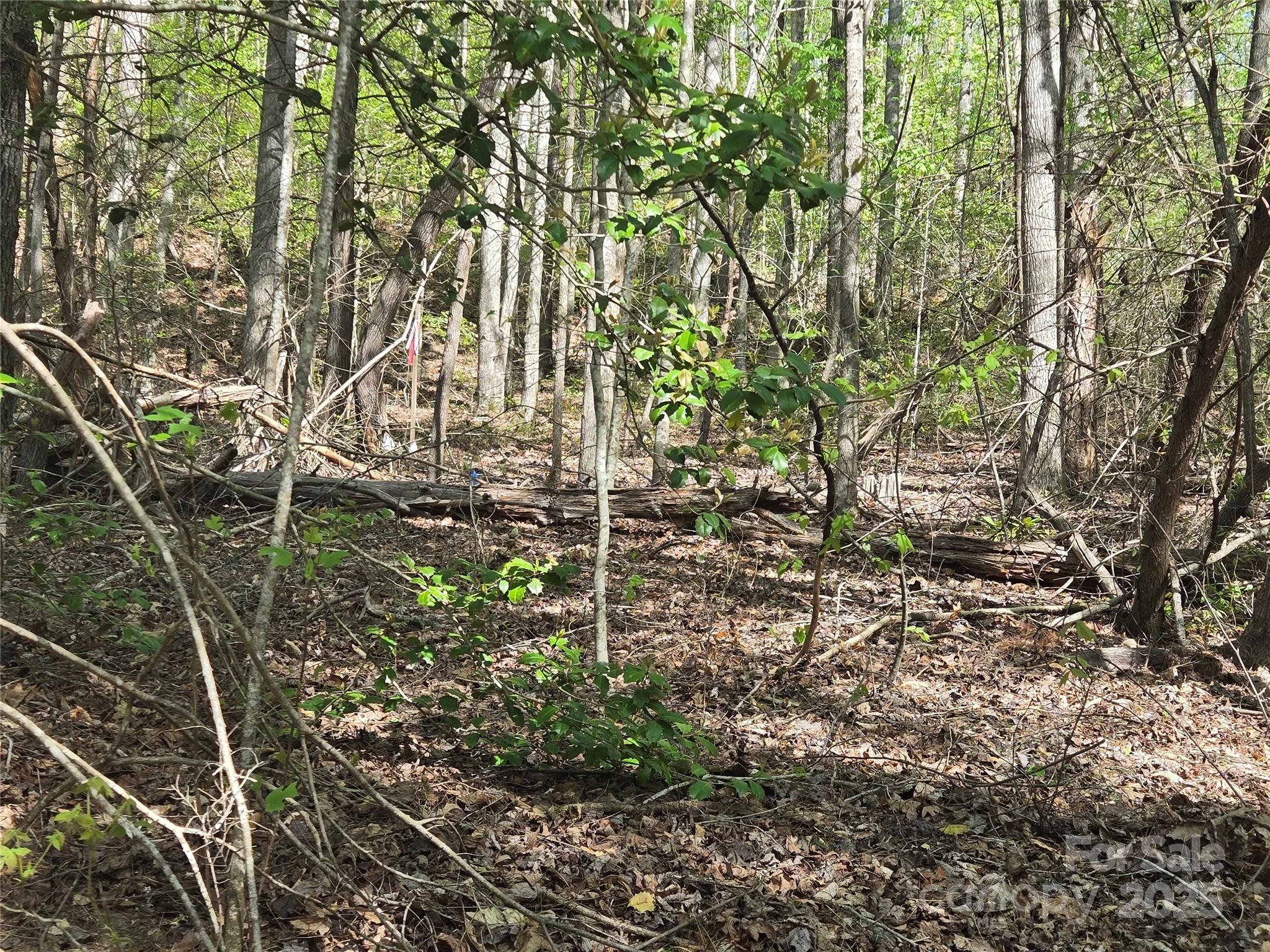 Lot 172 West Lake Drive Property Photo 7