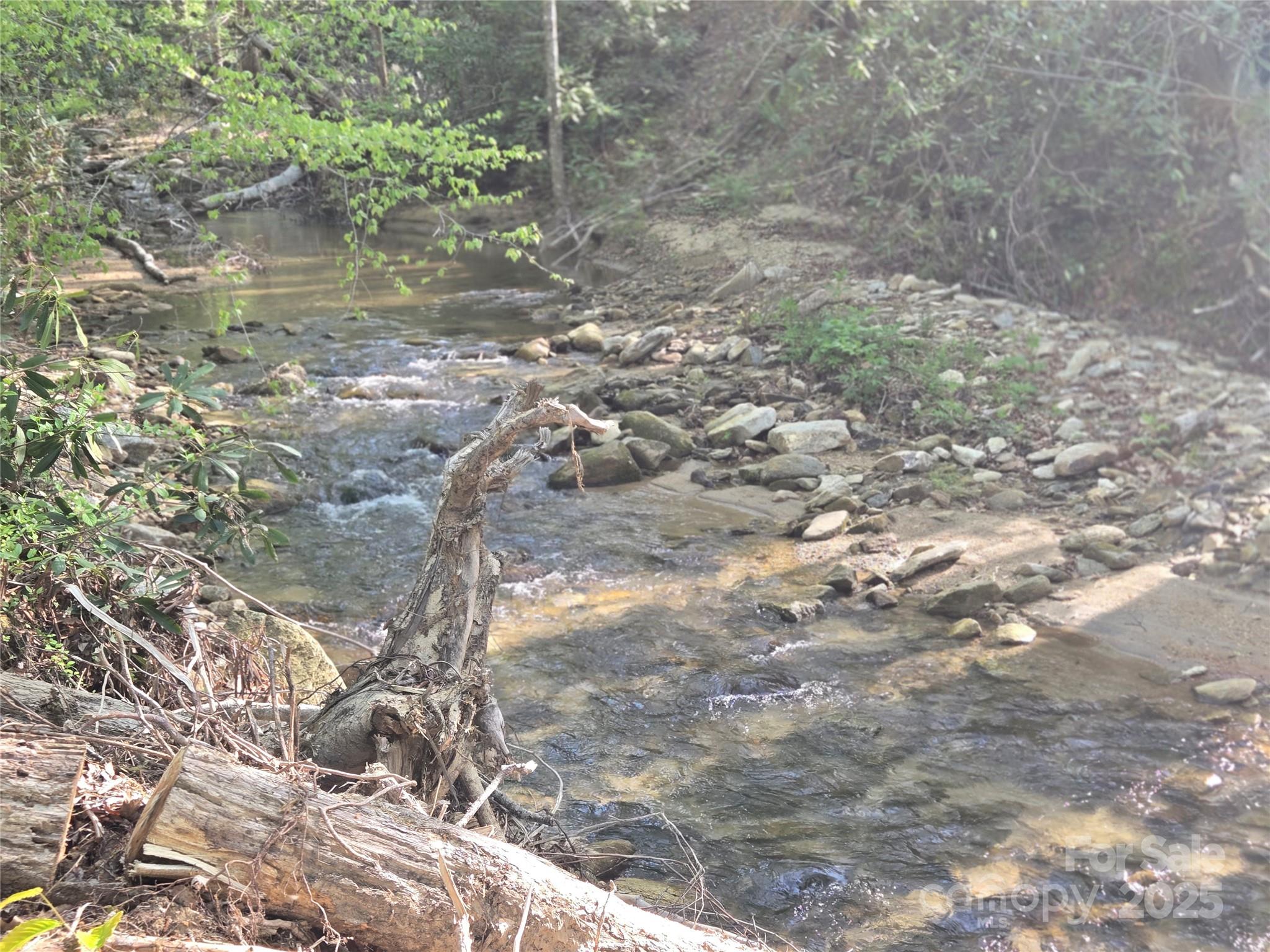 Lot 172 West Lake Drive Property Photo 10