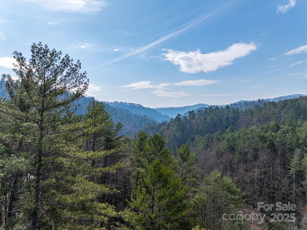 0 Wagon Ridge Road Property Photo