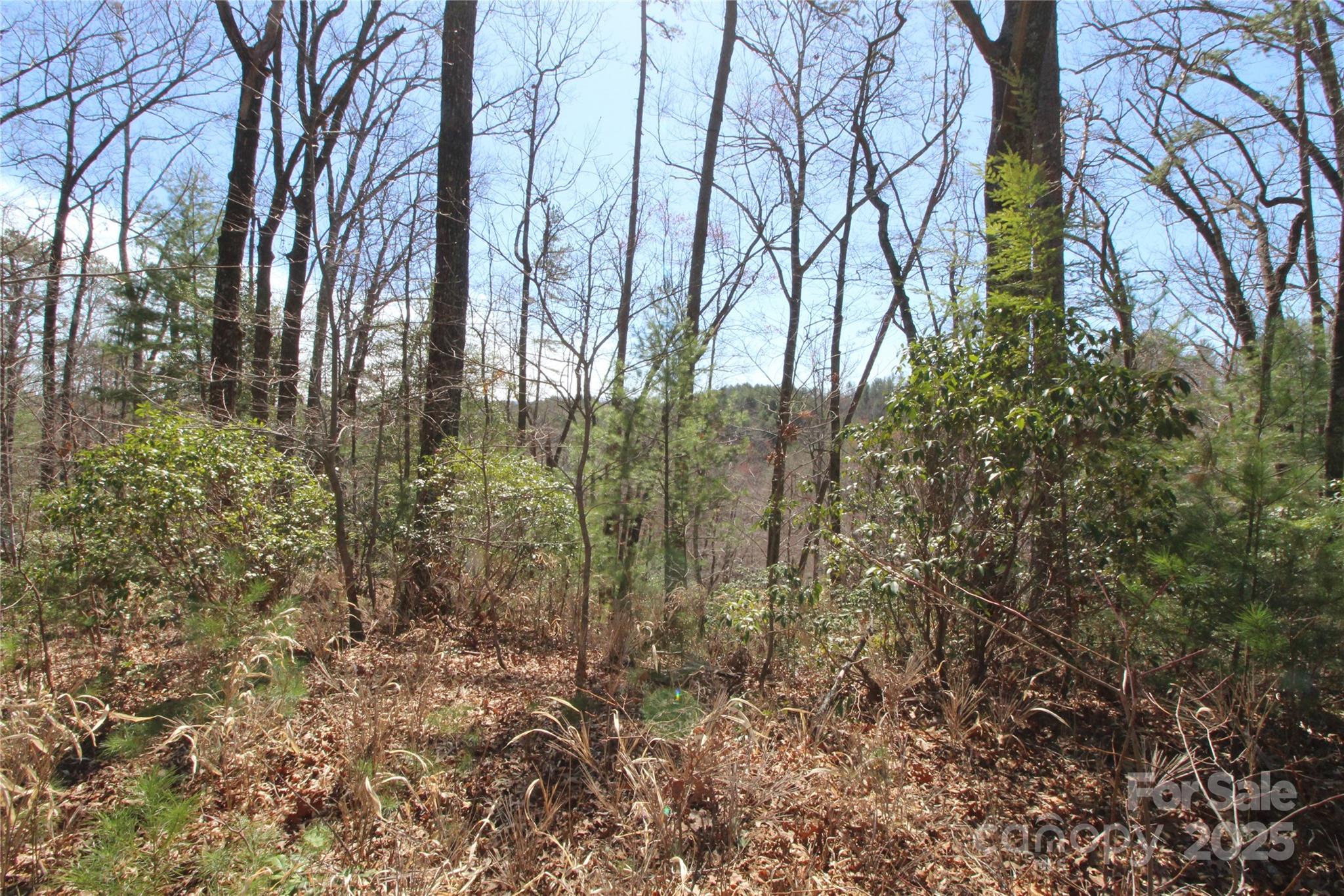 V/l Heartwood Forest Drive 27 Property Photo 5