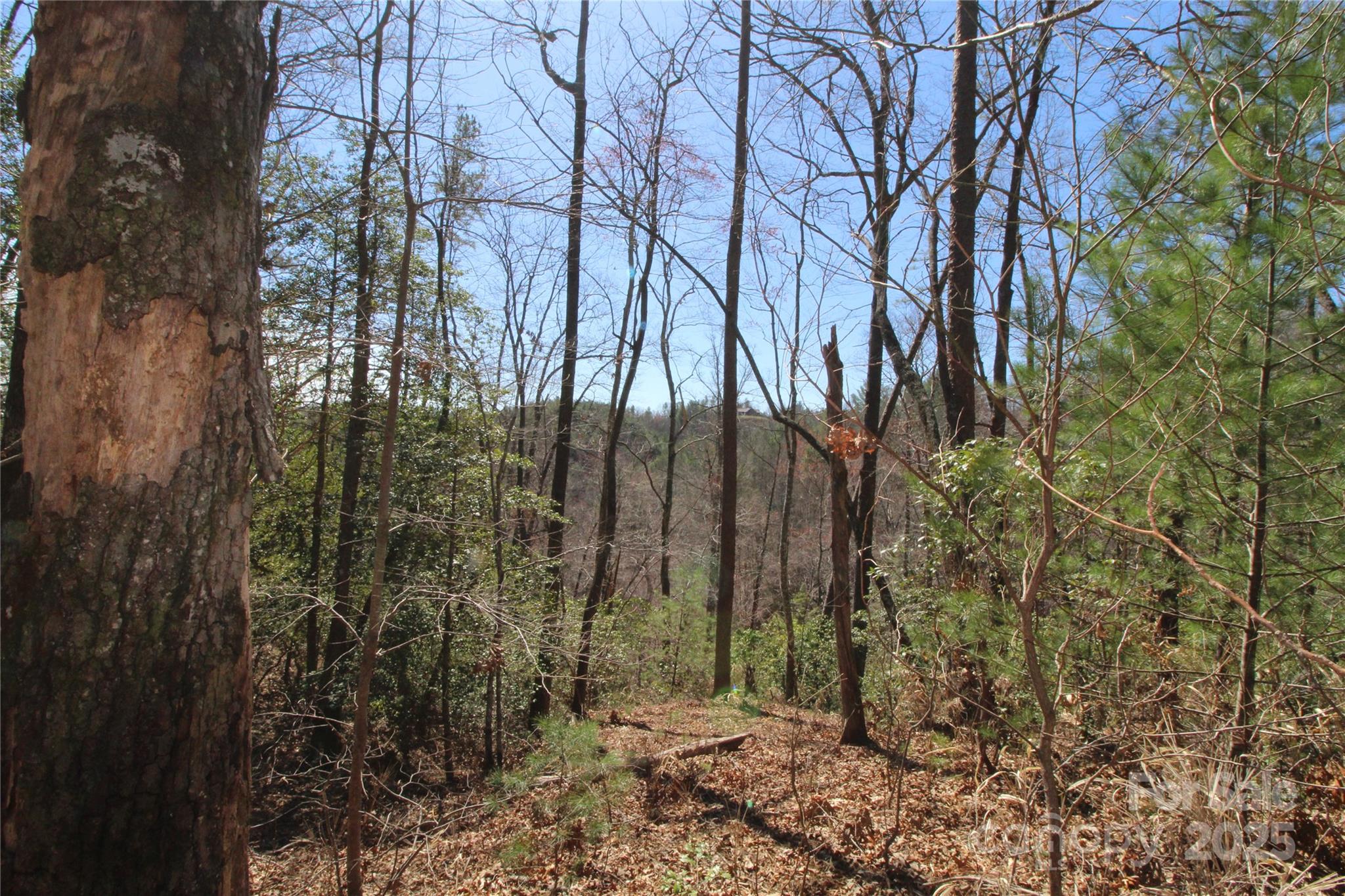 V/l Heartwood Forest Drive 27 Property Photo 6