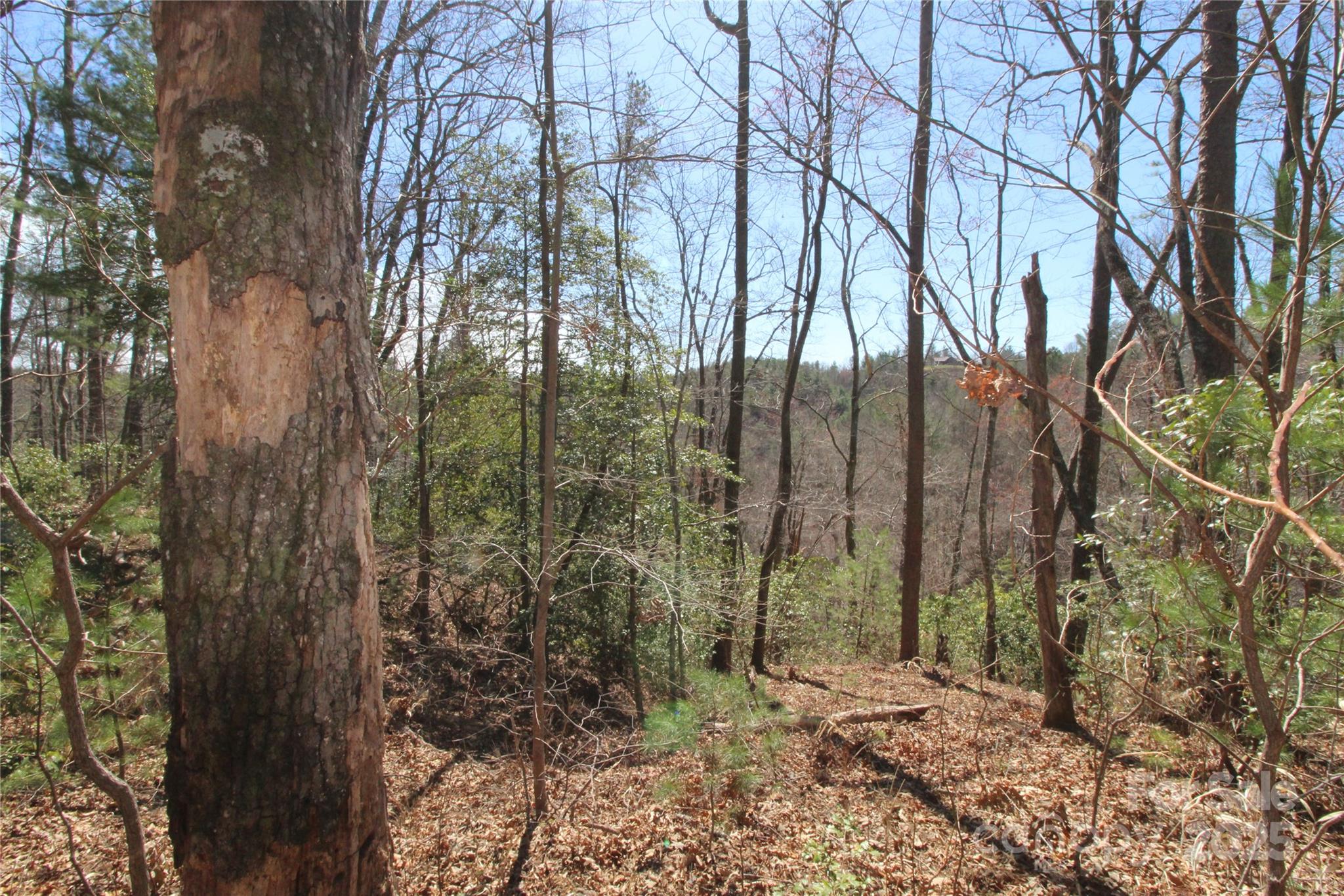 V/l Heartwood Forest Drive 27 Property Photo 7