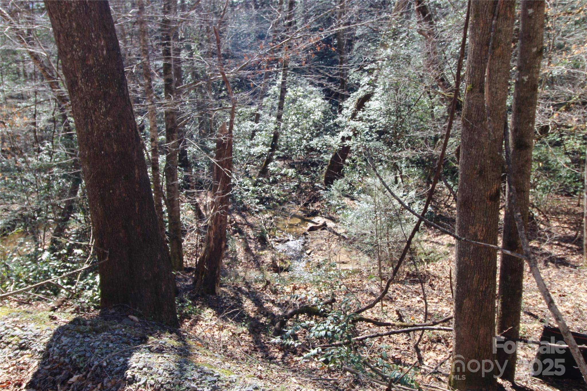 V/l Heartwood Forest Drive 27 Property Photo 8