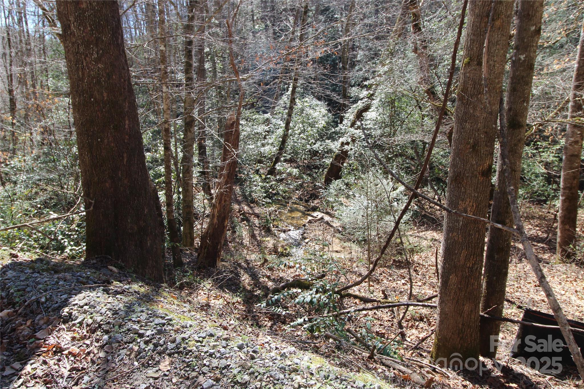 V/l Heartwood Forest Drive 27 Property Photo 9