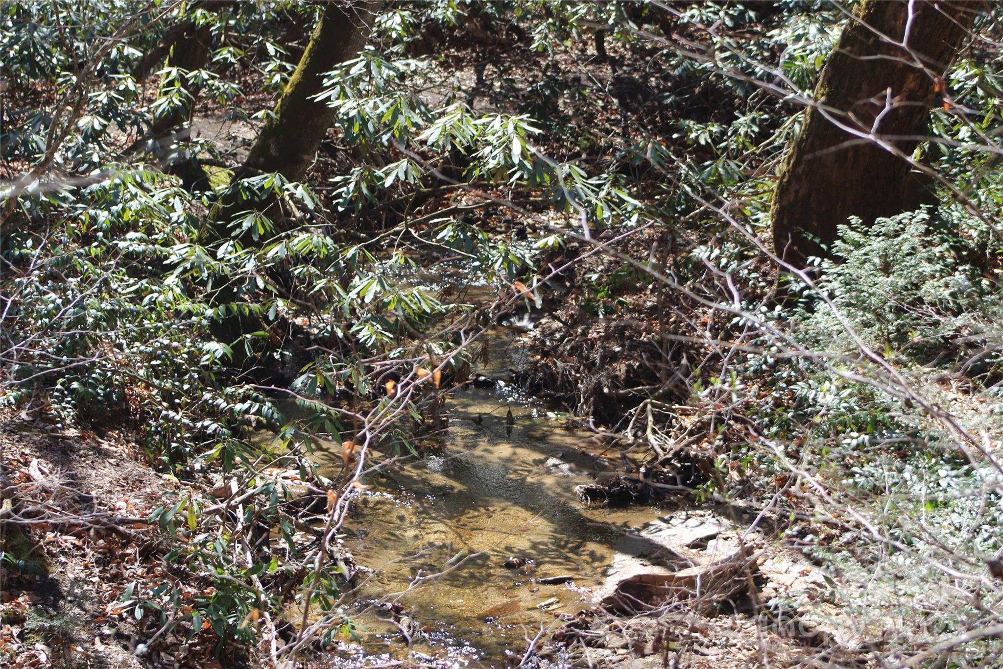 V/l Heartwood Forest Drive 27 Property Photo 10