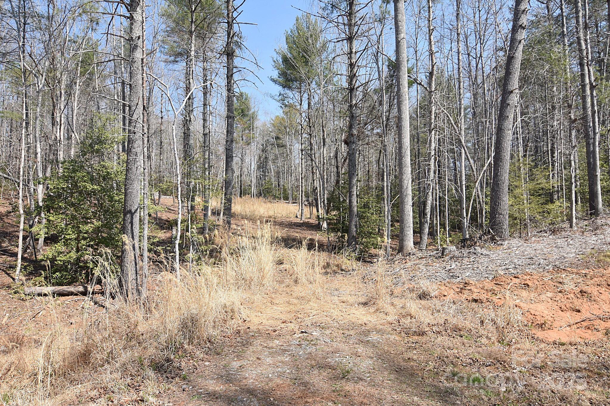 3630 Pitts Farm Drive Property Photo 3