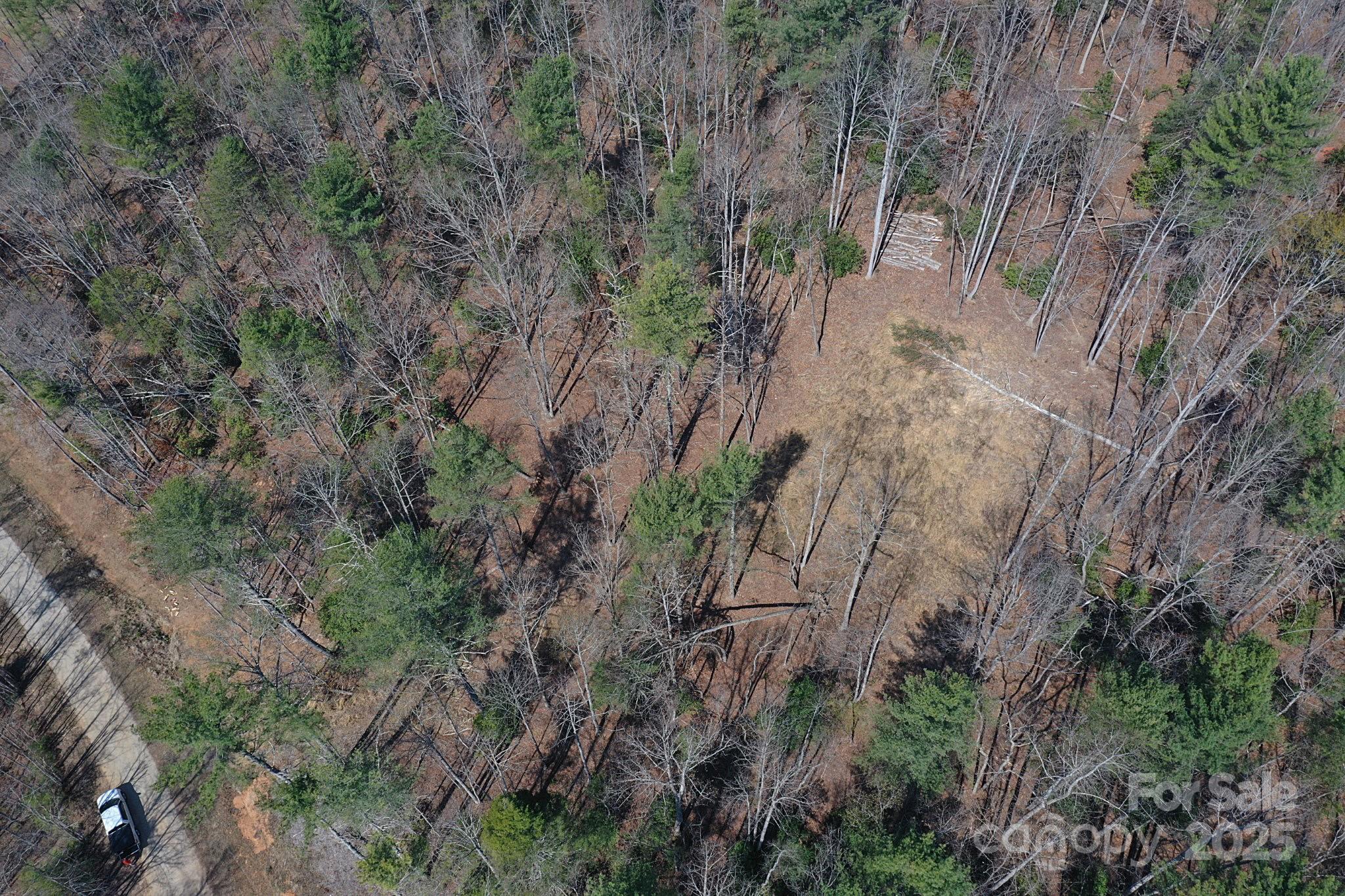 3630 Pitts Farm Drive Property Photo 6